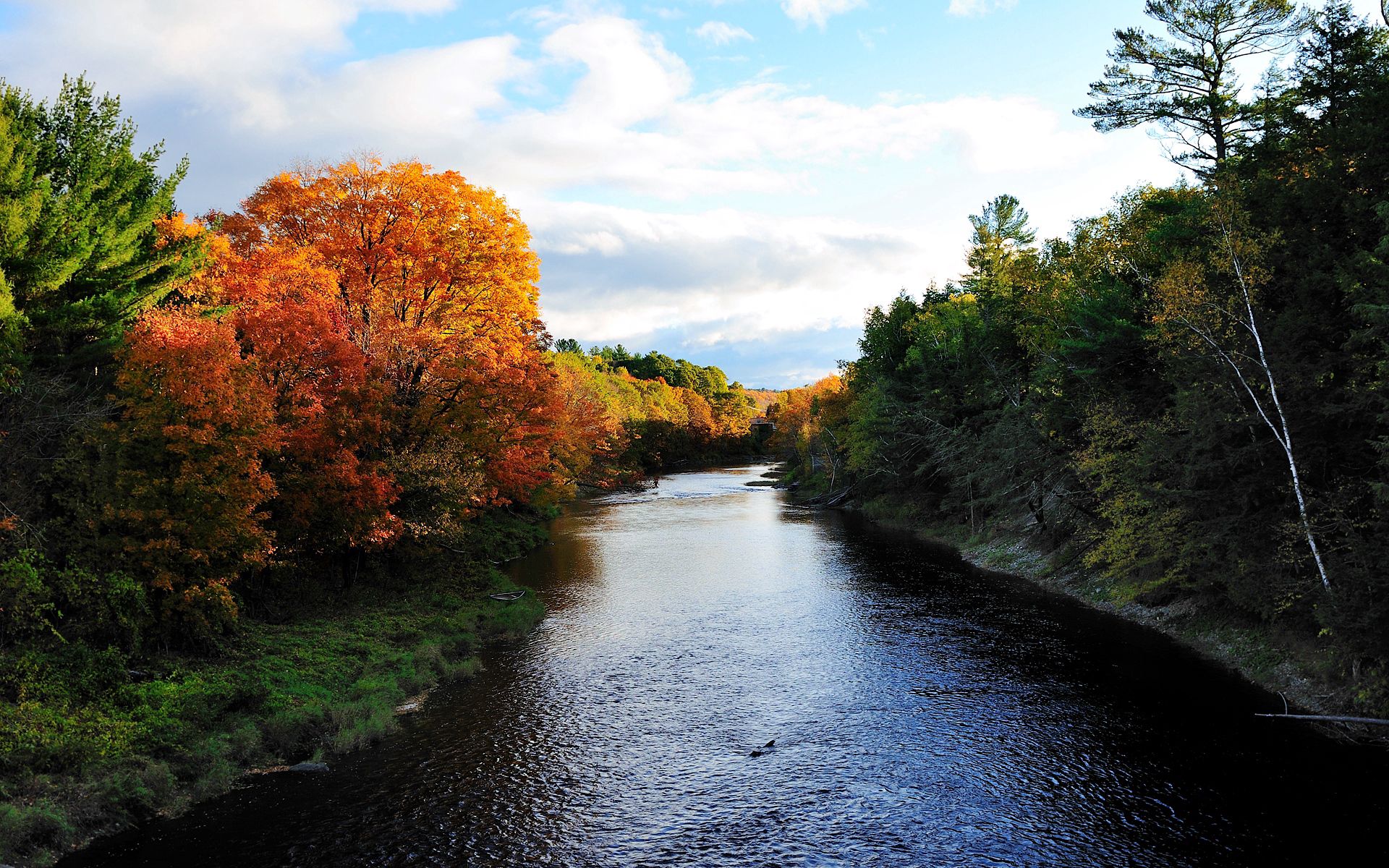 Laden Sie das Bäume, Flüsse, Herbst, Natur-Bild kostenlos auf Ihren PC-Desktop herunter