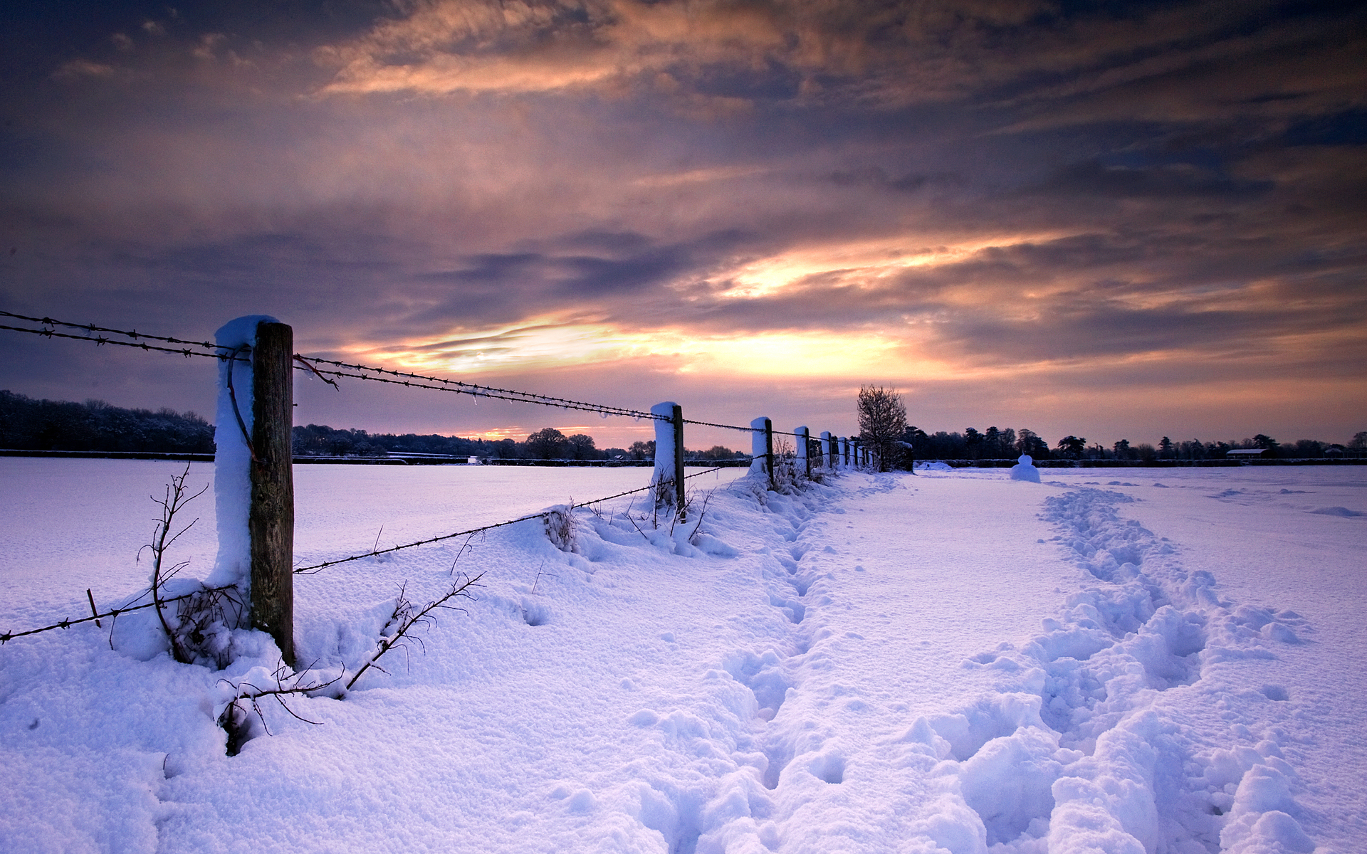 Téléchargez gratuitement l'image Hiver, Terre/nature sur le bureau de votre PC