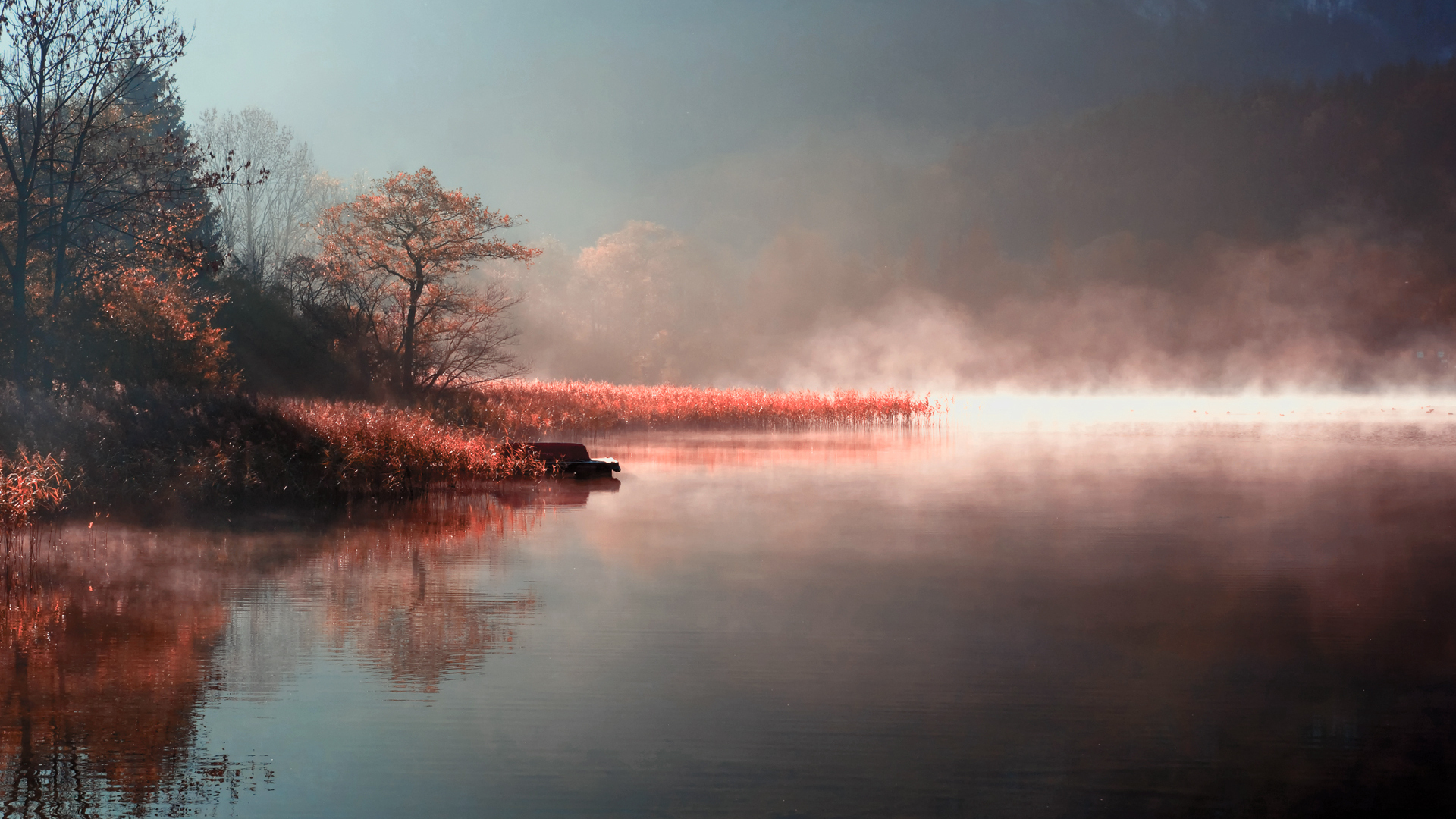 Baixe gratuitamente a imagem Terra/natureza, Neblina na área de trabalho do seu PC