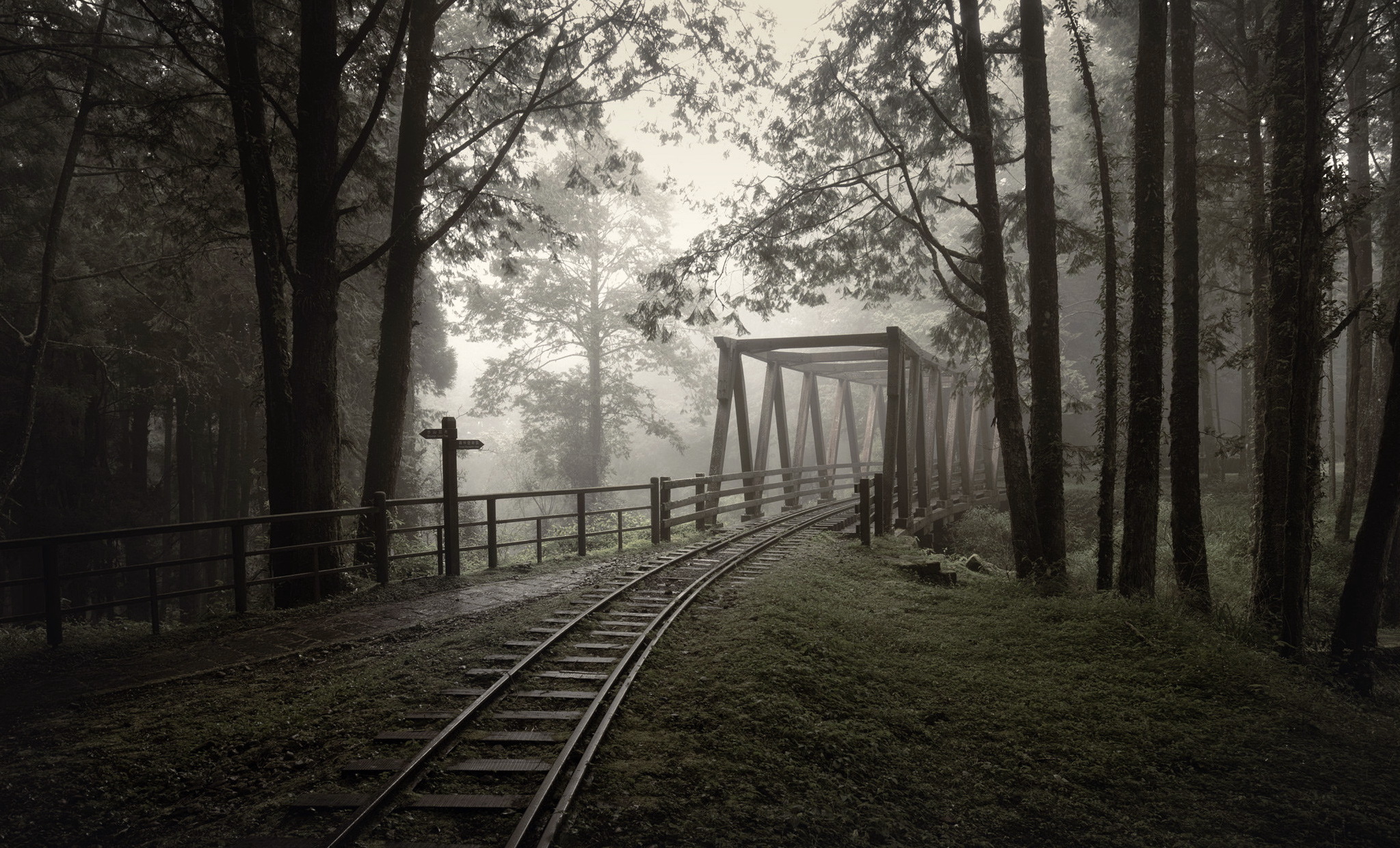 PCデスクトップに橋, 木, 森, 霧, 鉄道, マンメイド画像を無料でダウンロード