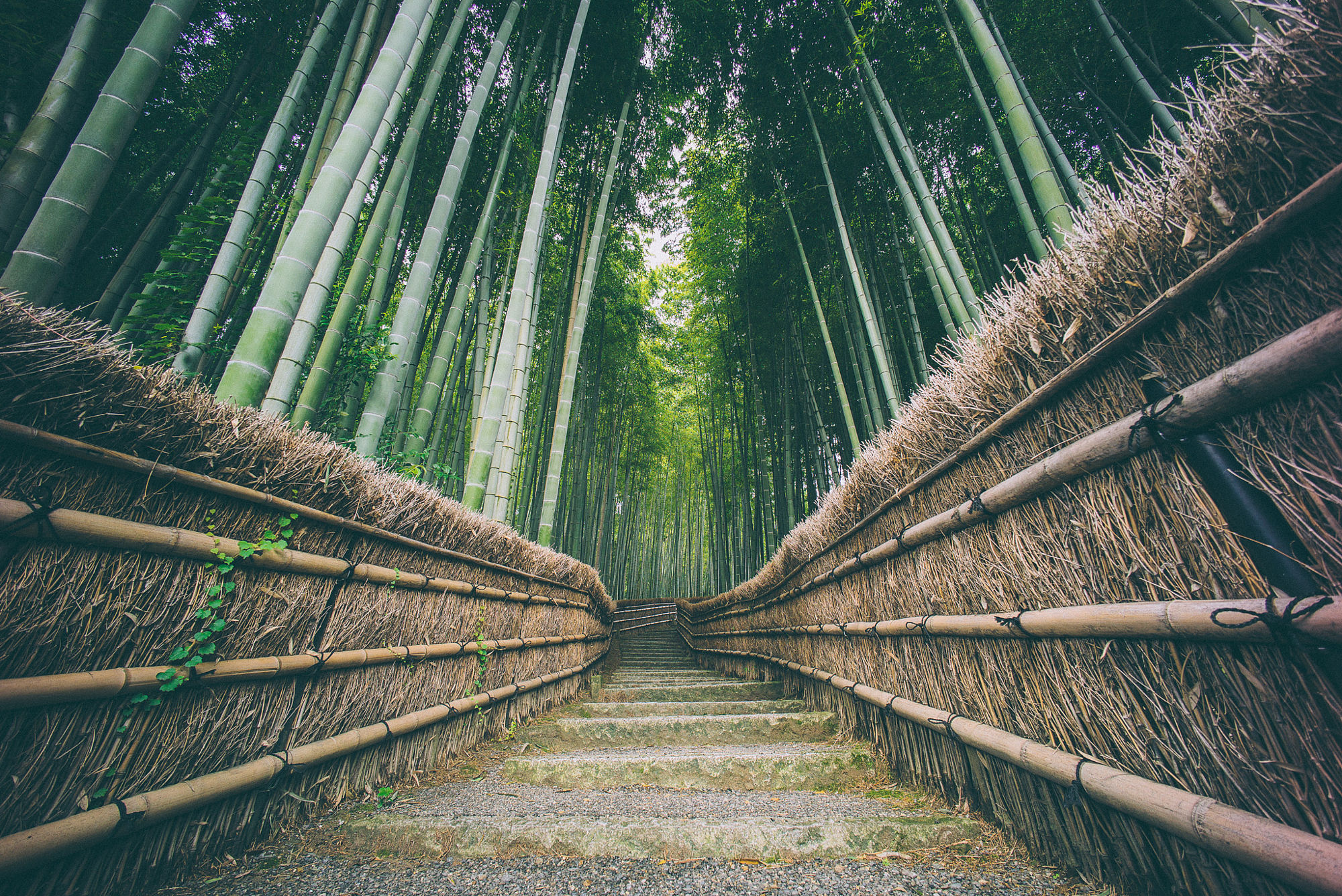 Download mobile wallpaper Path, Bamboo, Japan, Man Made for free.