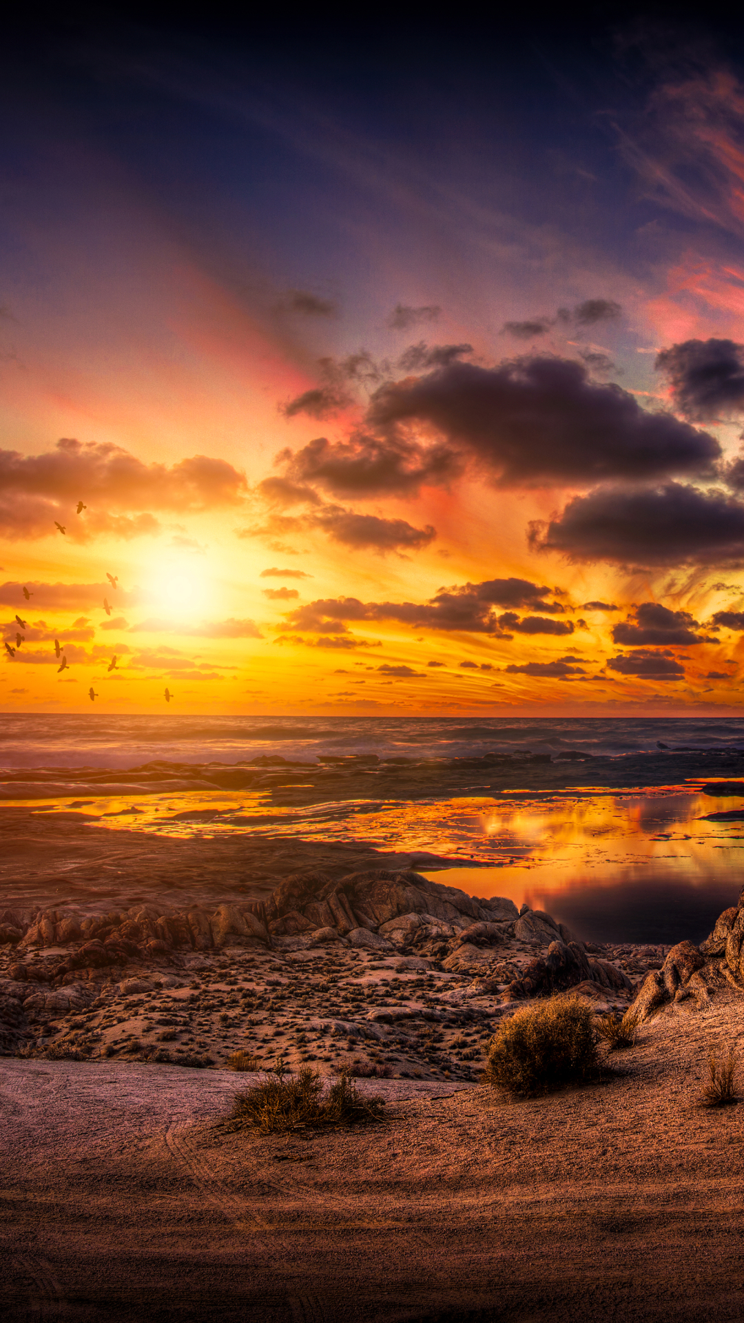 Download mobile wallpaper Sunset, Sky, Sea, Sun, Beach, Horizon, Ocean, Earth for free.