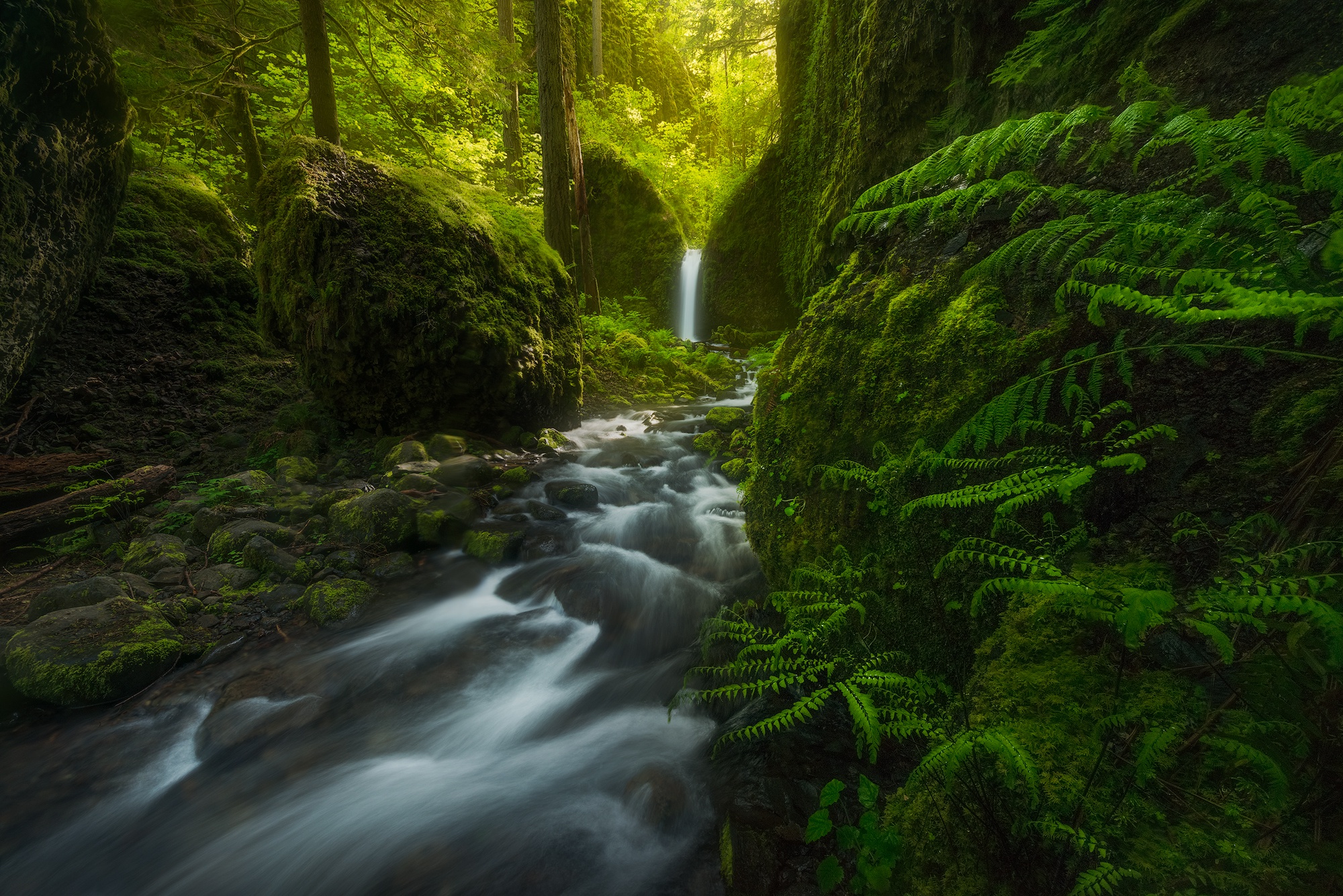 Download mobile wallpaper Nature, Waterfall, Fern, Earth, Moss, Stream, Greenery for free.