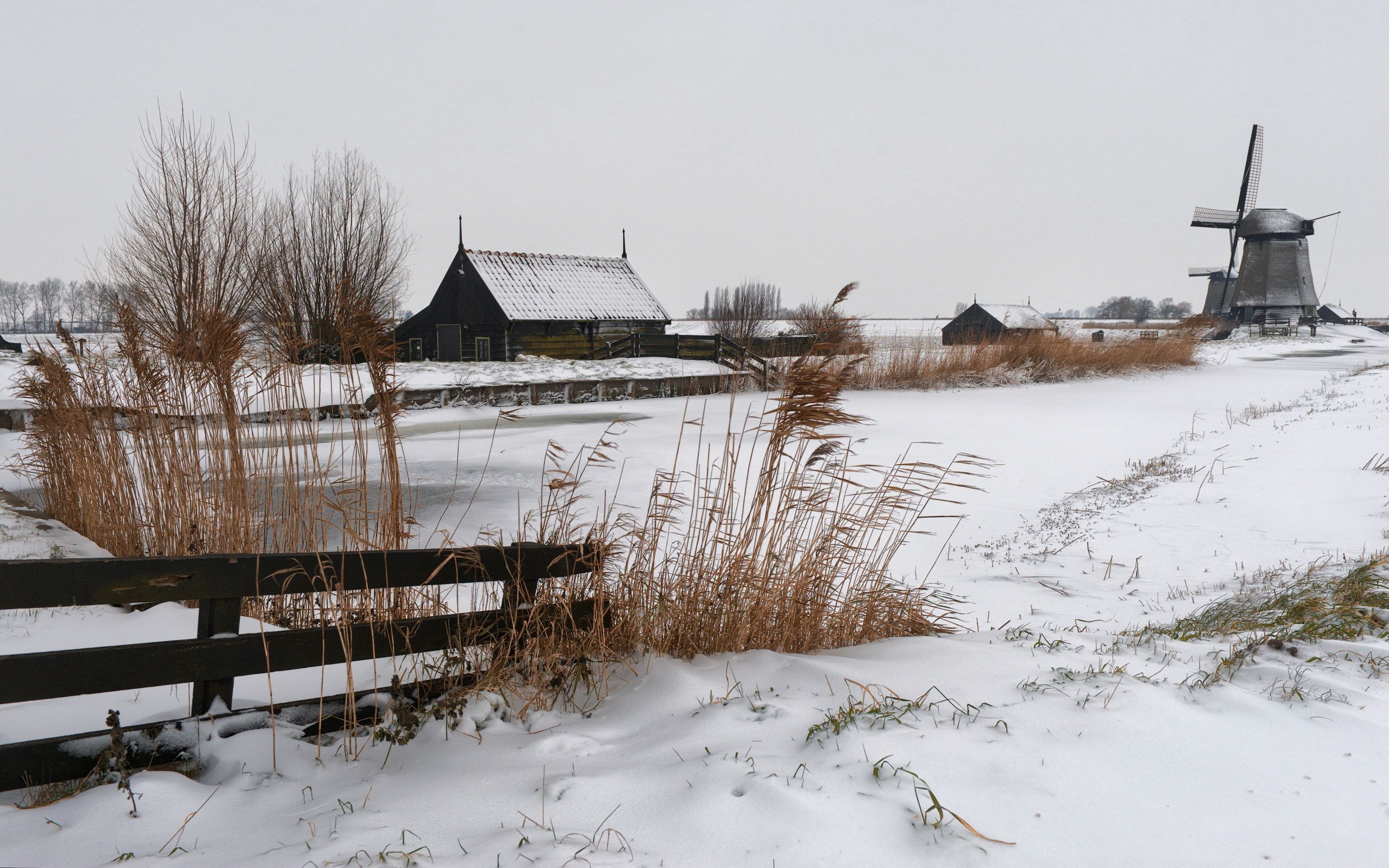 farm, village, nature, snow, house, ears, cold, spikes, mill