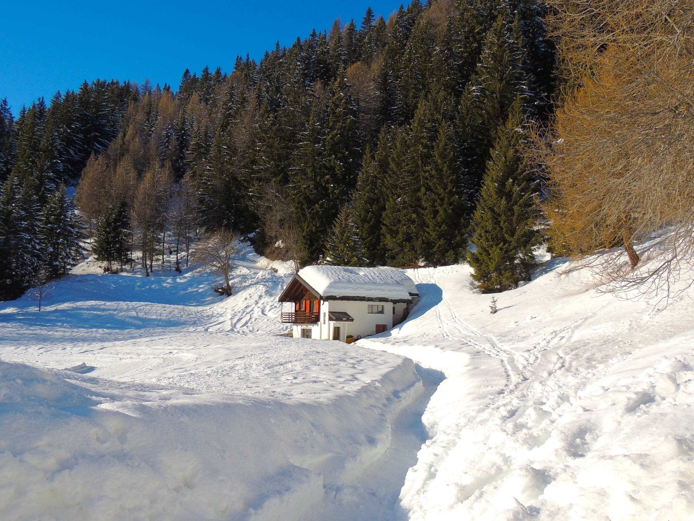 Descarga gratis la imagen Invierno, Nieve, Fotografía en el escritorio de tu PC