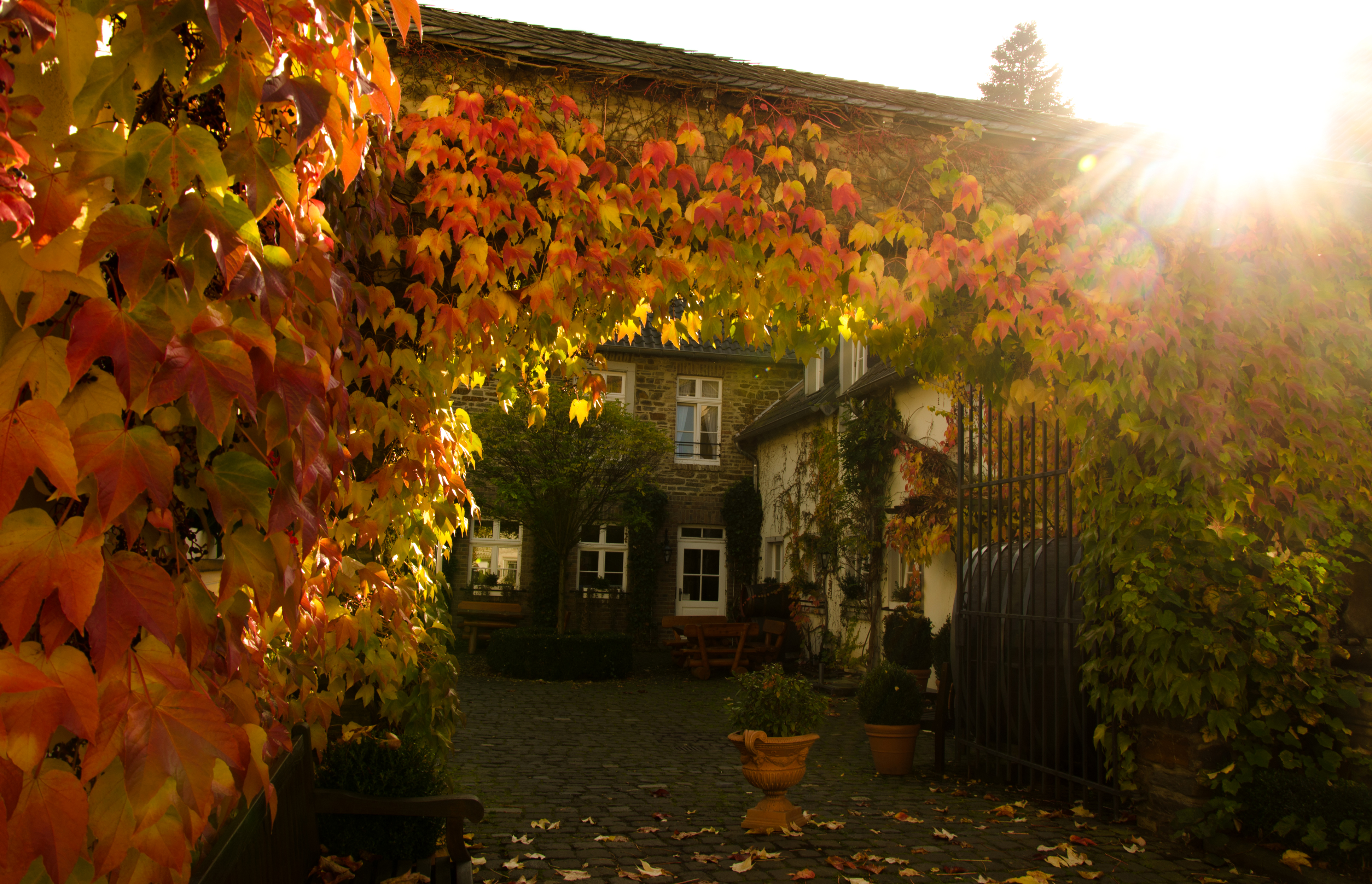 Handy-Wallpaper Herbst, Baum, Haus, Ranke, Menschengemacht kostenlos herunterladen.