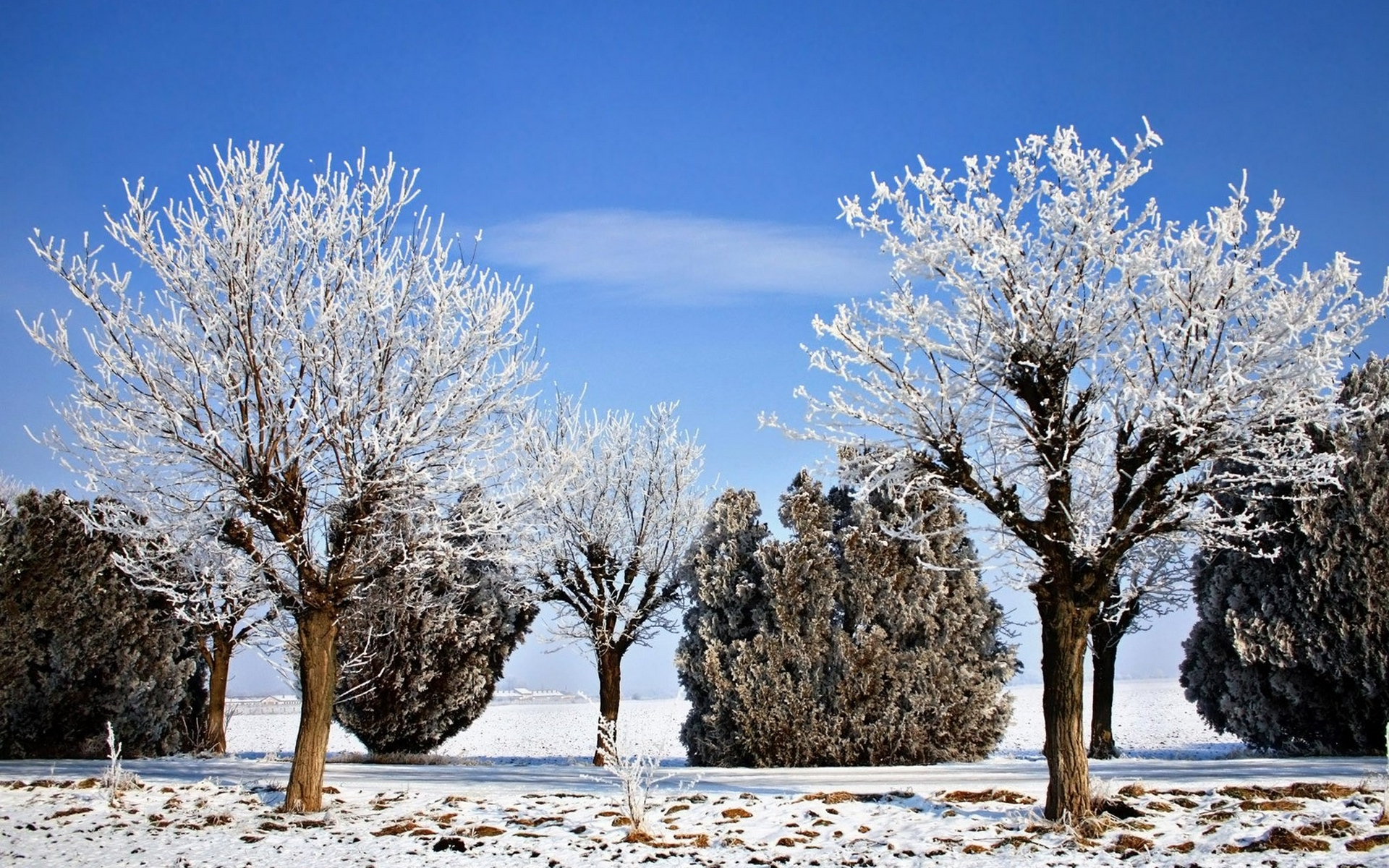 Baixar papel de parede para celular de Inverno, Terra/natureza gratuito.