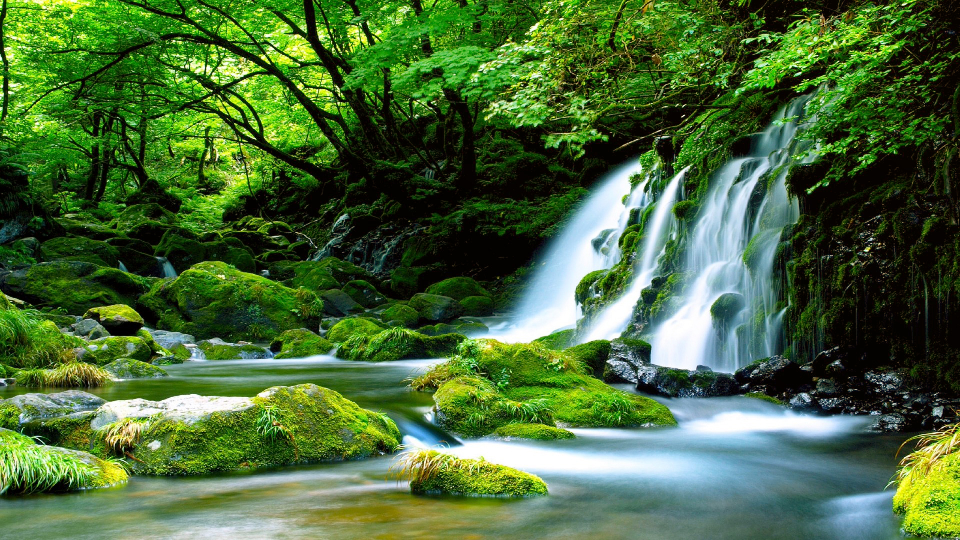 Download mobile wallpaper Nature, Waterfalls, Waterfall, Forest, Earth for free.