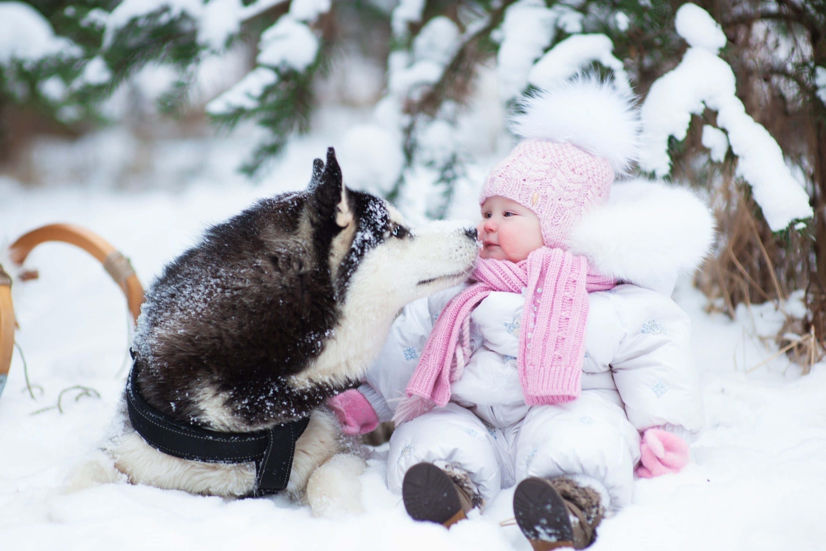 Скачать картинку Зима, Снег, Собака, Ребенок, Фотографии, Сибирский Хаски в телефон бесплатно.