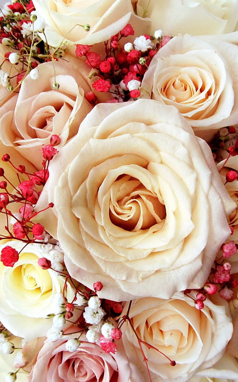 Скачать картинку Цветок, Роза, Букет, Белая Роза, Белый Цветок, Сделано Человеком в телефон бесплатно.