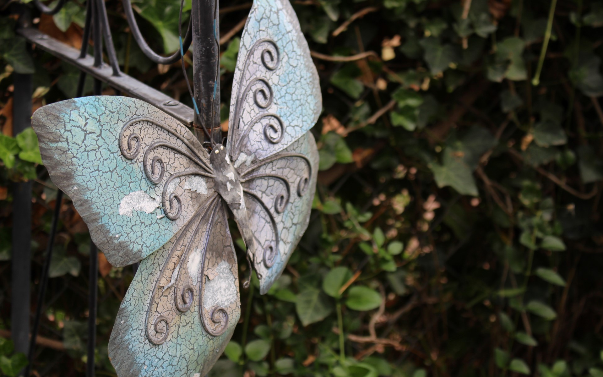 Handy-Wallpaper Schmetterlinge, Garten, Menschengemacht kostenlos herunterladen.