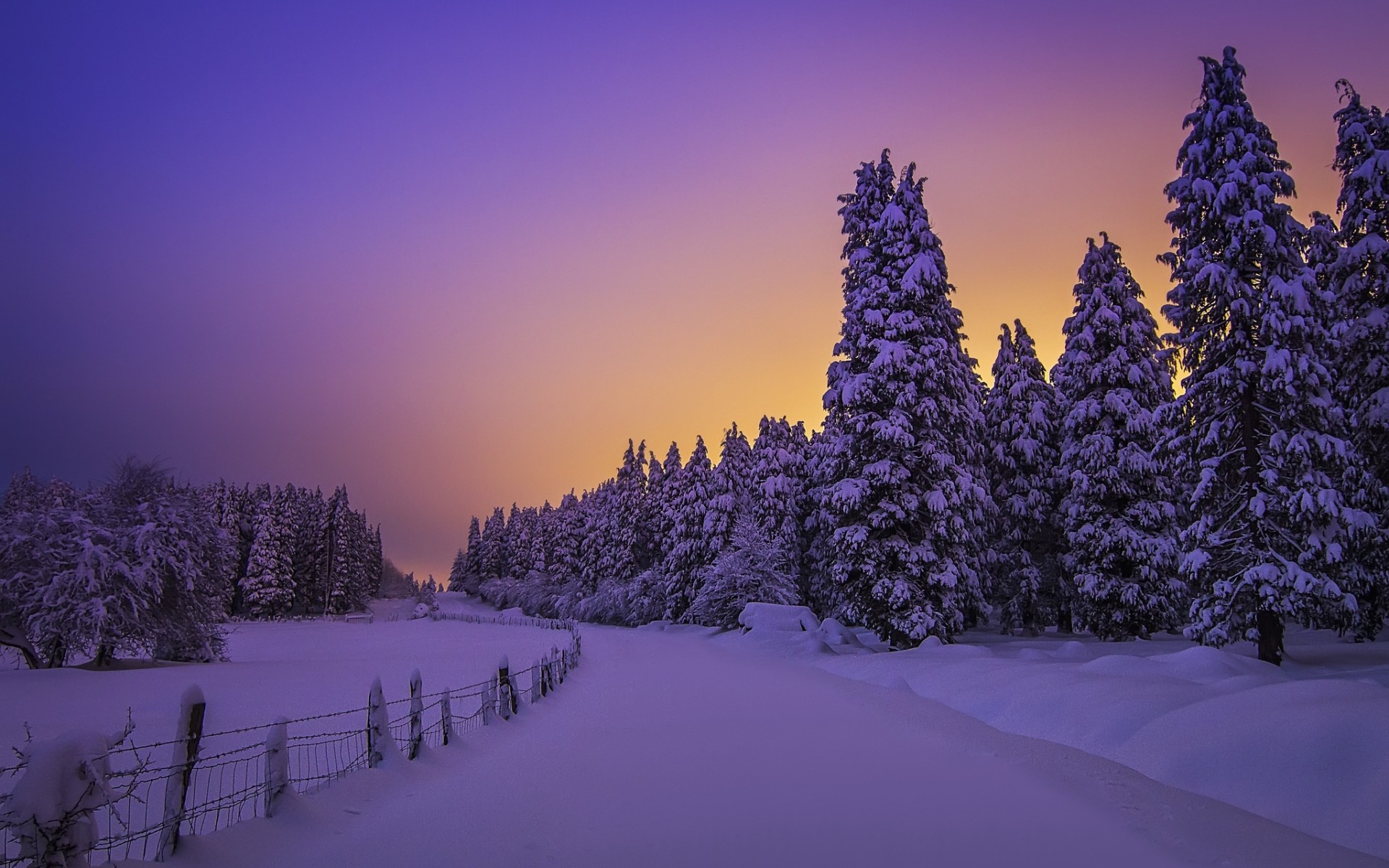 Download mobile wallpaper Winter, Sunset, Snow, Road, Tree, Earth for free.