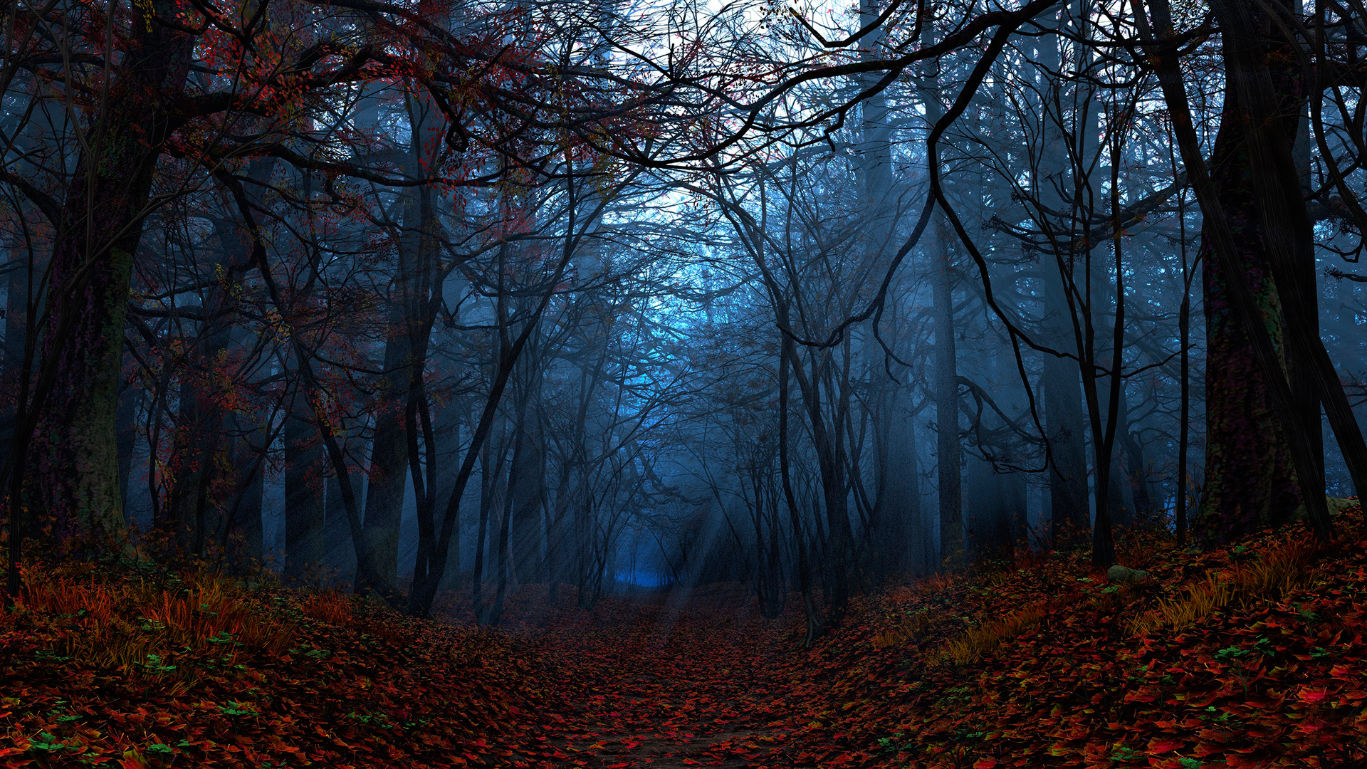 Free download wallpaper Forest, Earth on your PC desktop