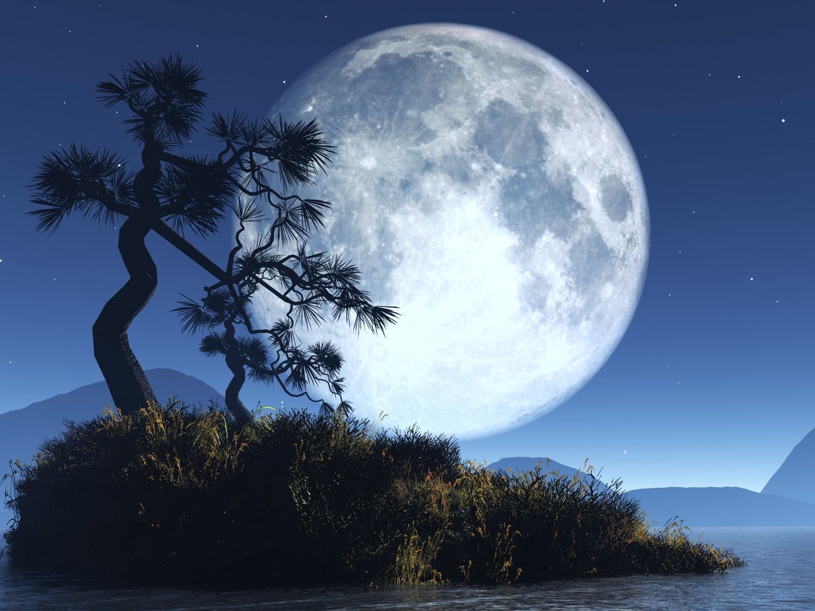 Laden Sie das Landschaft, Bäume, Übernachtung, Mond-Bild kostenlos auf Ihren PC-Desktop herunter