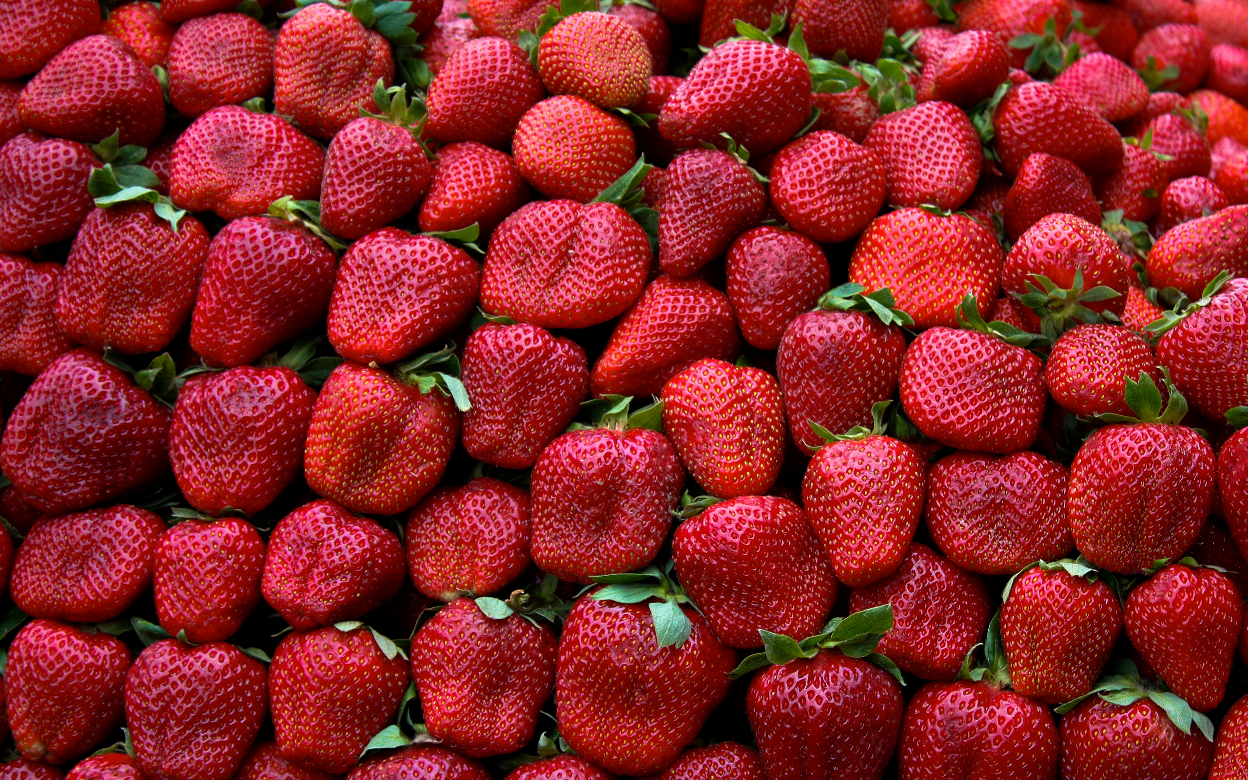 Descarga gratis la imagen Frutas, Fresa, Alimento en el escritorio de tu PC