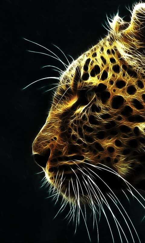 Handy-Wallpaper Tiere, Katzen, Leopard kostenlos herunterladen.