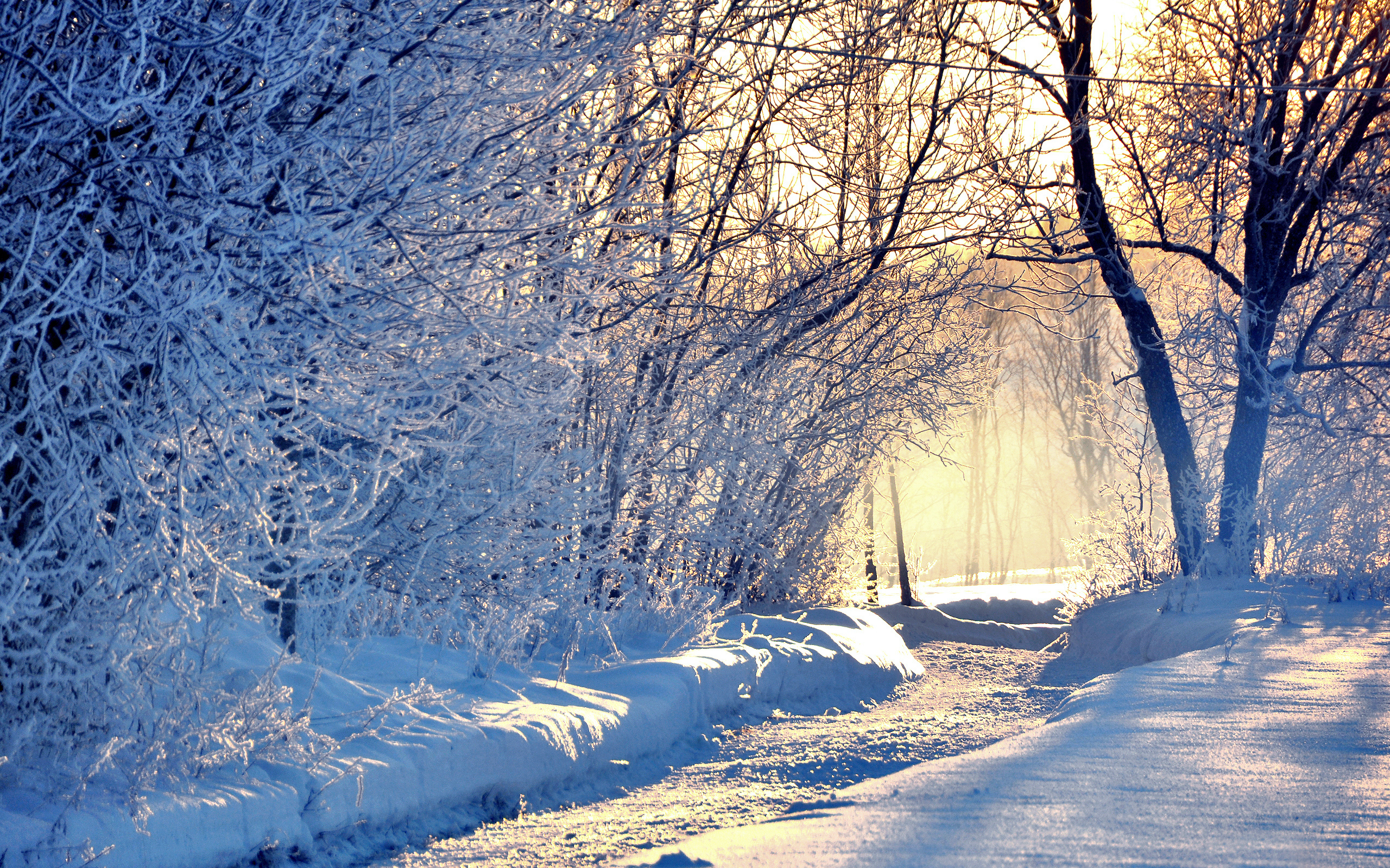 Descarga gratis la imagen Invierno, Tierra/naturaleza en el escritorio de tu PC