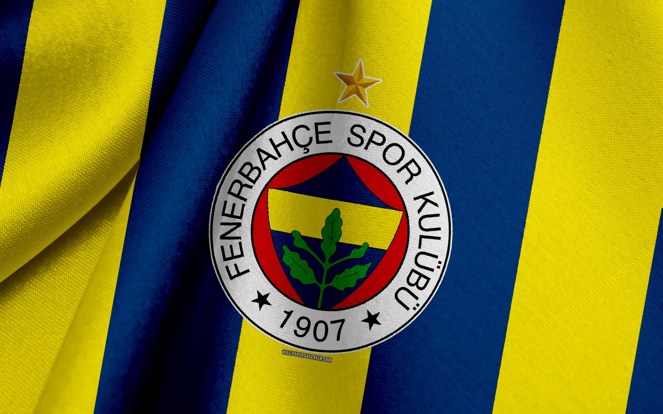 503967 Salvapantallas y fondos de pantalla Fenerbahçe S K en tu teléfono. Descarga imágenes de  gratis