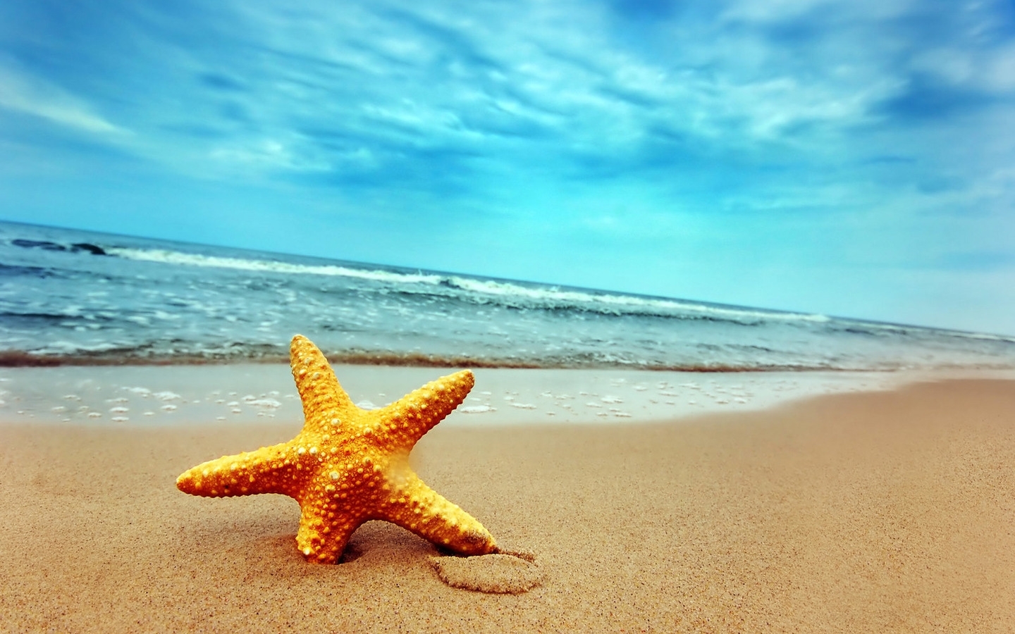turquoise, starfish, background, sea, beach