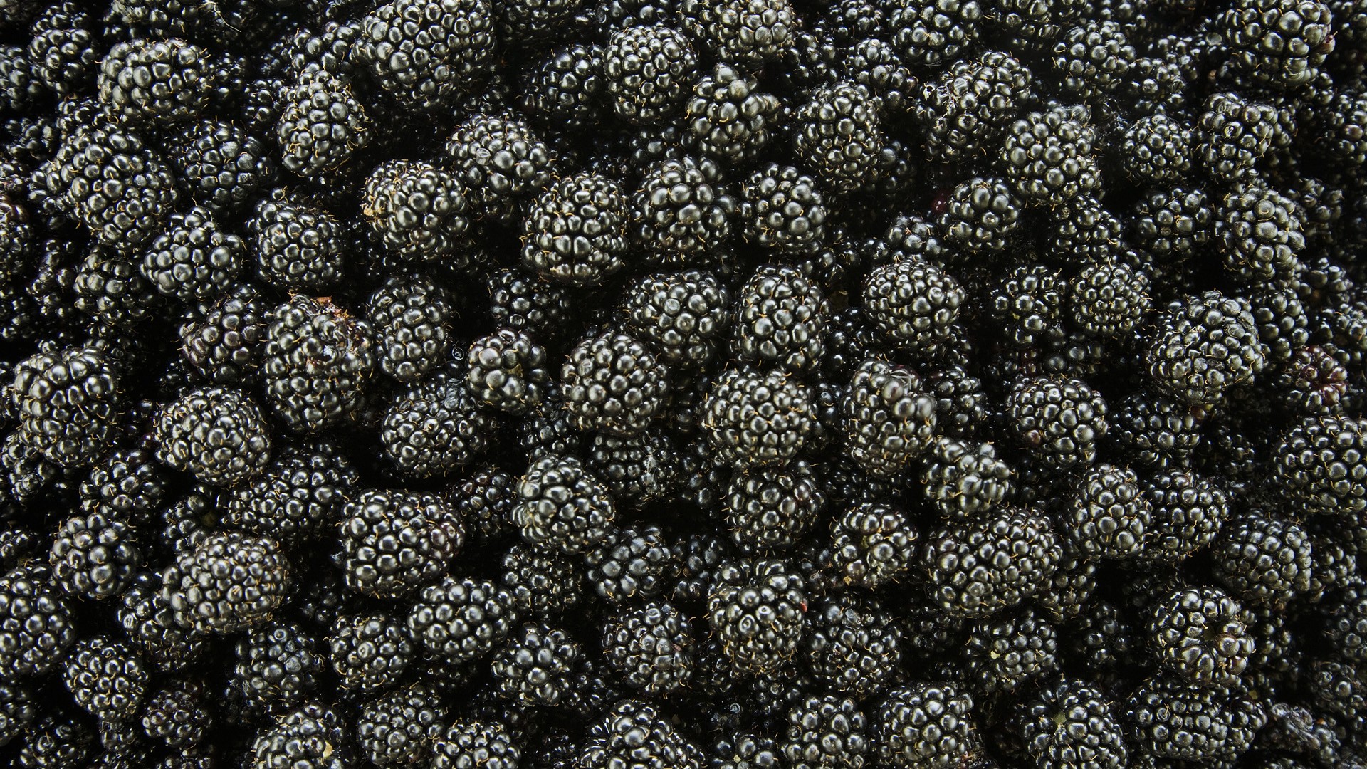 Free download wallpaper Food, Blackberry on your PC desktop
