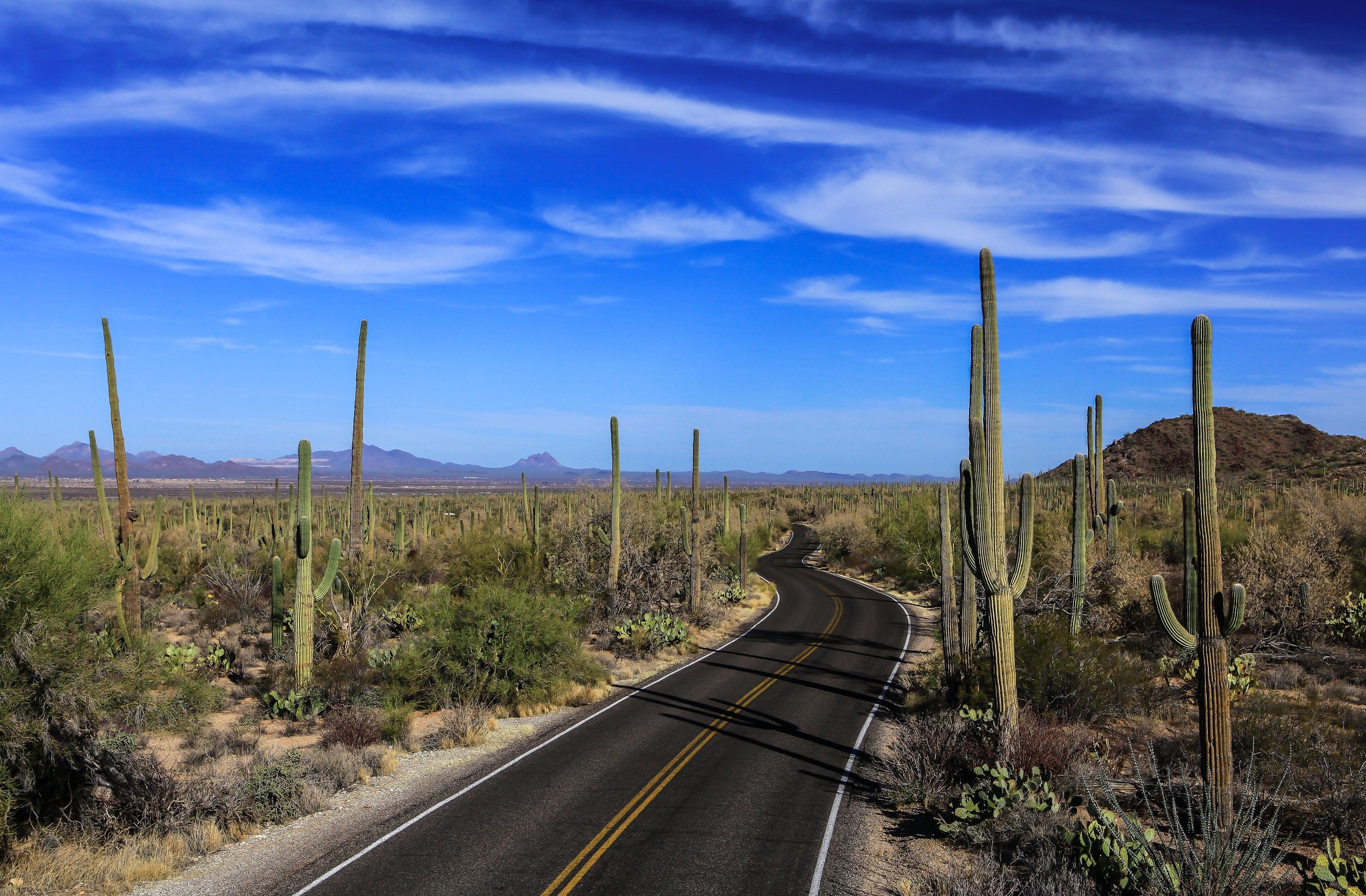 Download mobile wallpaper Landscape, Nature, Sky, Road, Cactus, Man Made for free.