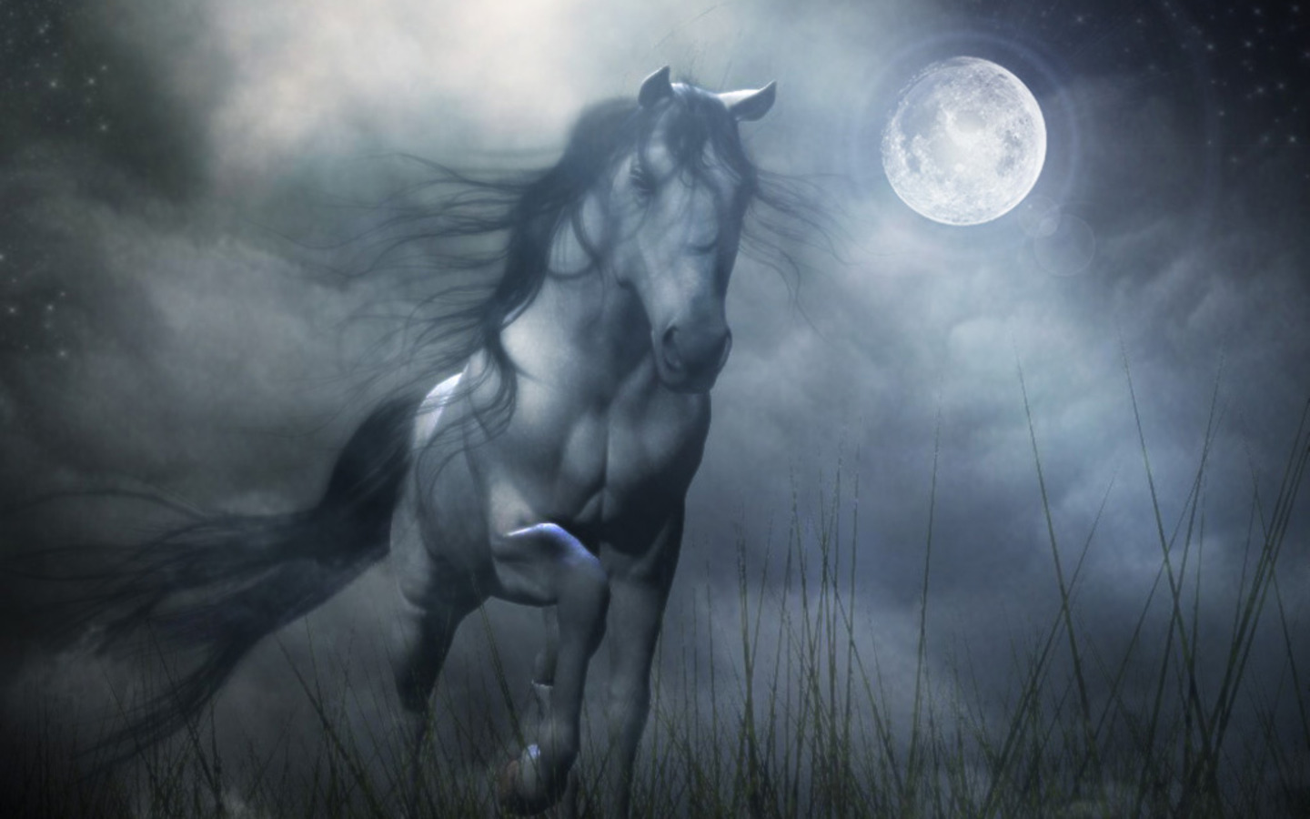Free download wallpaper Fantasy, Horse on your PC desktop