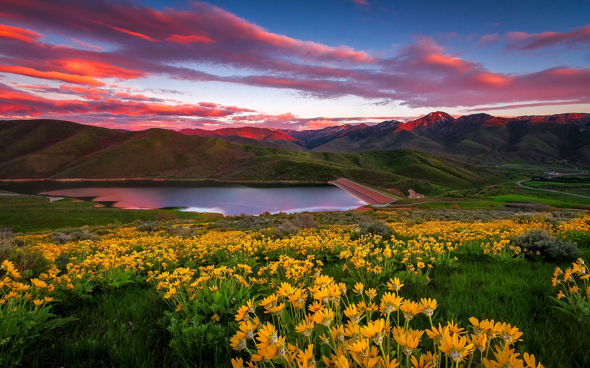 Free download wallpaper Landscape, Mountain, Lake, Flower, Earth, Spring, Yellow Flower on your PC desktop