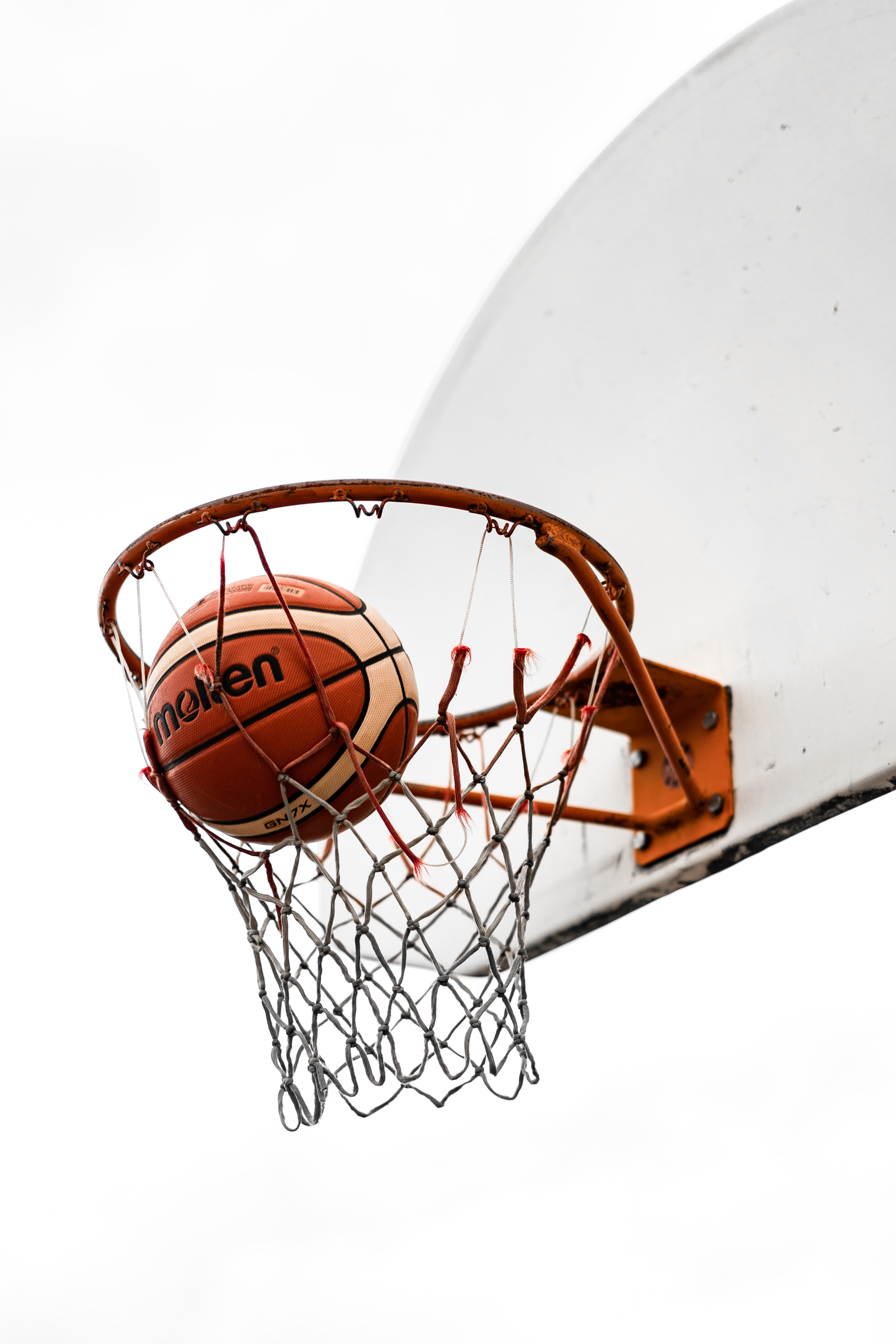 basketball, basketball net, basketball ring, sports, shield, ball, basketball hoop, basketball grid HD wallpaper