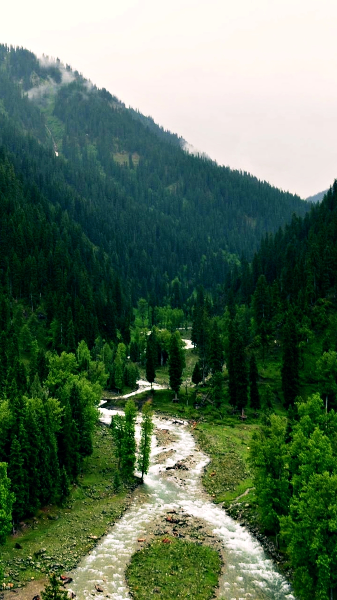 1215425 télécharger le fond d'écran terre/nature, forêt, rivière, la nature, arbre, pakistan, tao butt, cachemire, paysage - économiseurs d'écran et images gratuitement