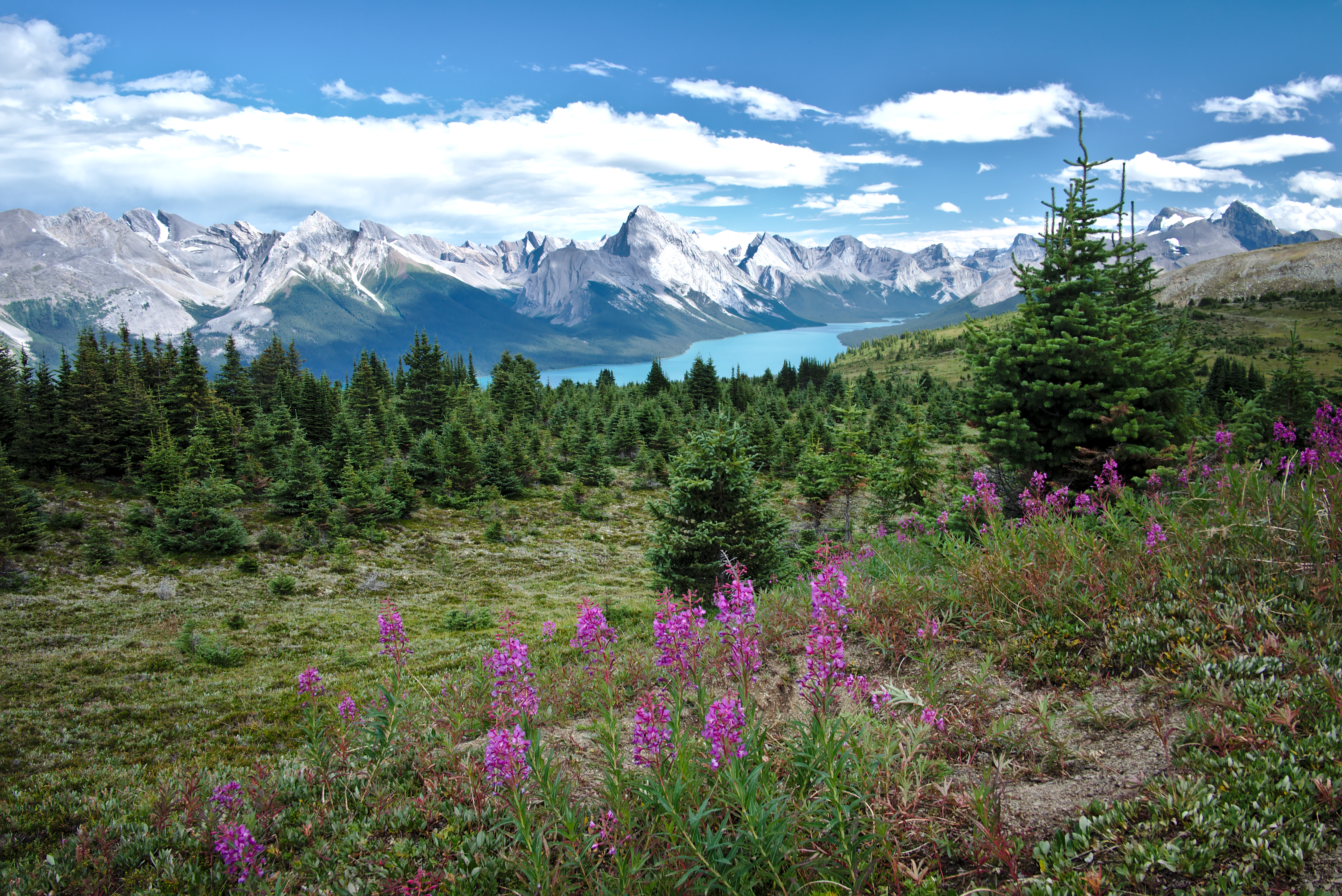 valley, nature, flowers, grass, mountains, lake High Definition image