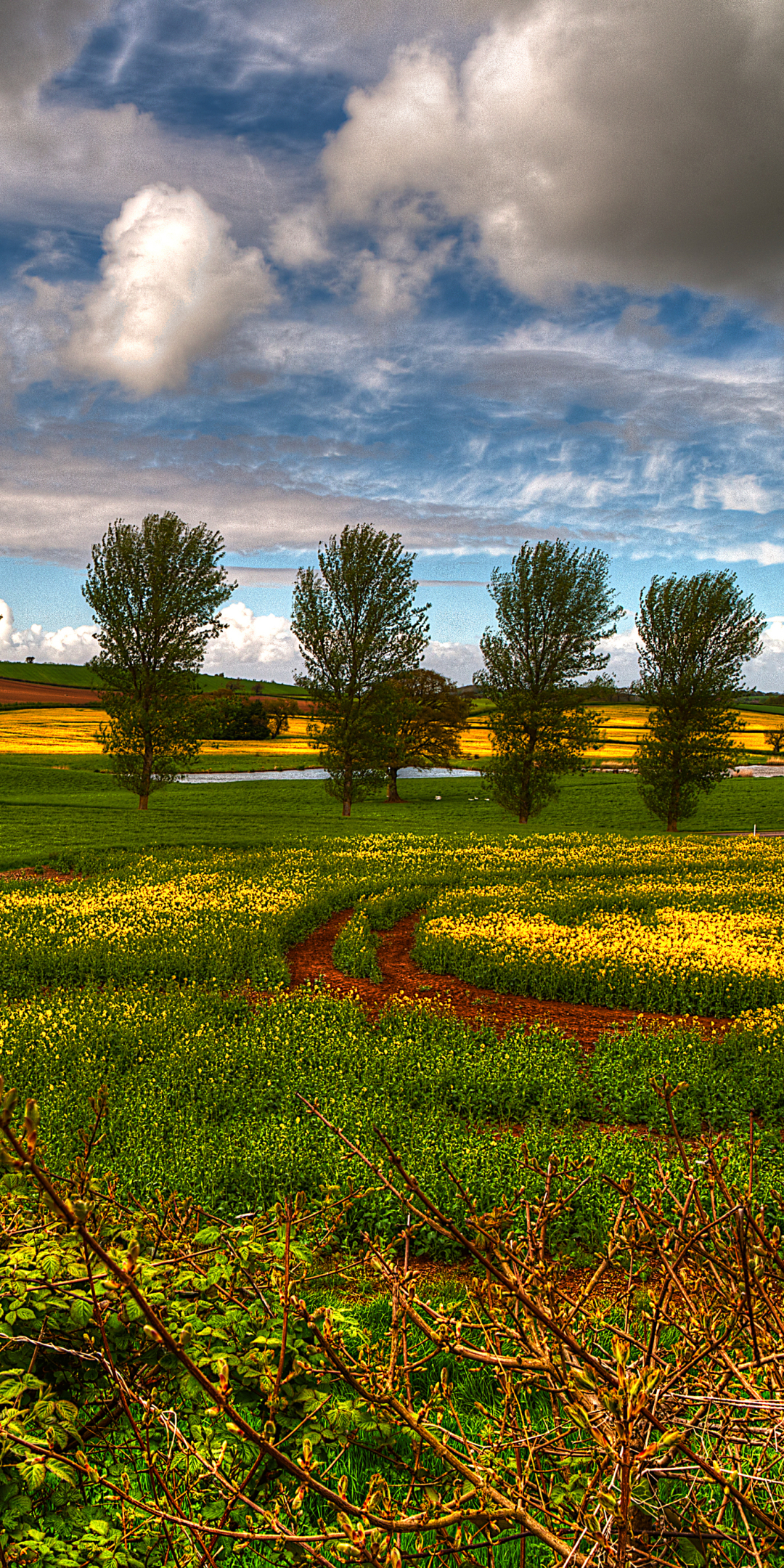 Descarga gratuita de fondo de pantalla para móvil de Paisaje, Tierra/naturaleza.