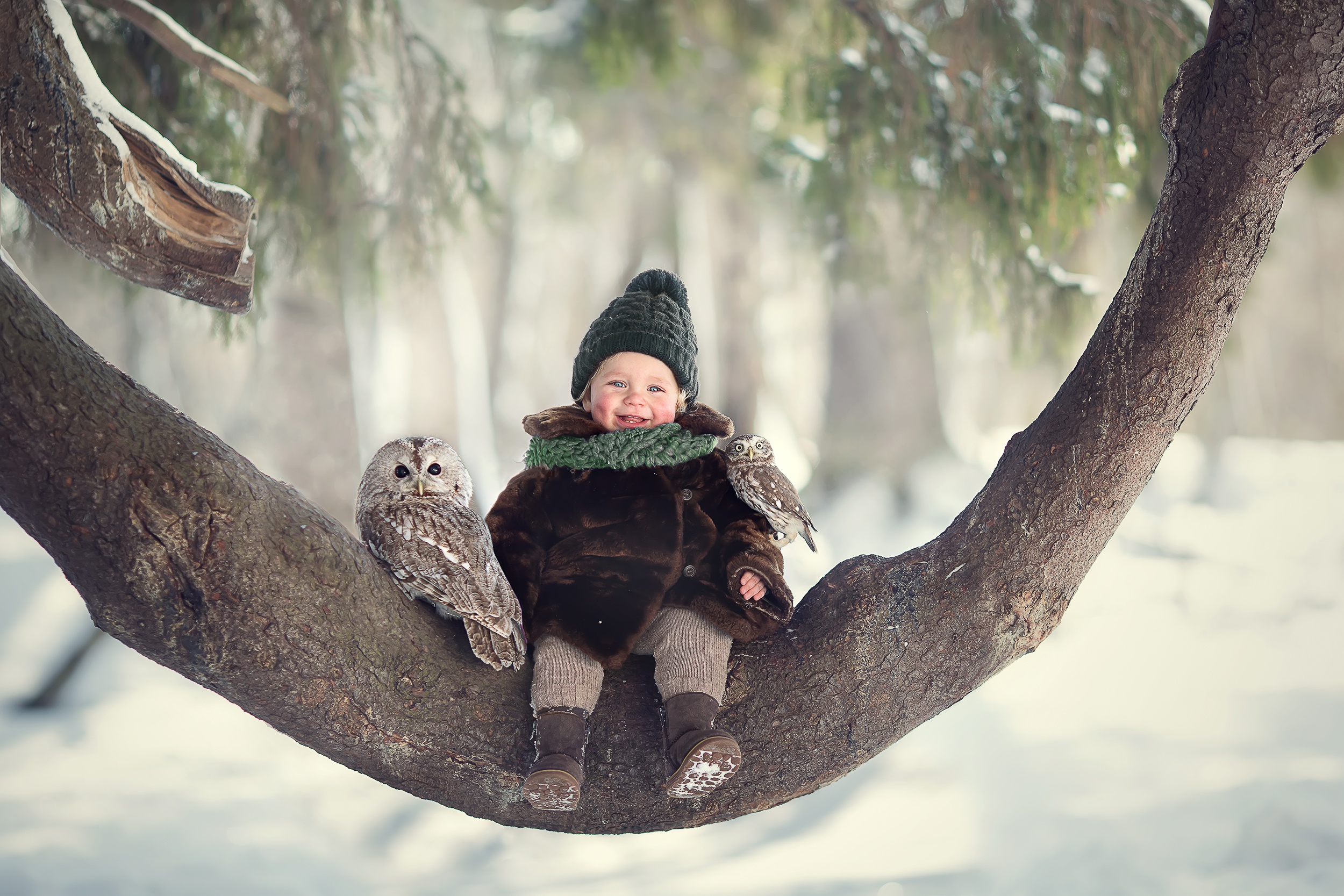 photography, child, baby, bird, owl, trunk, winter