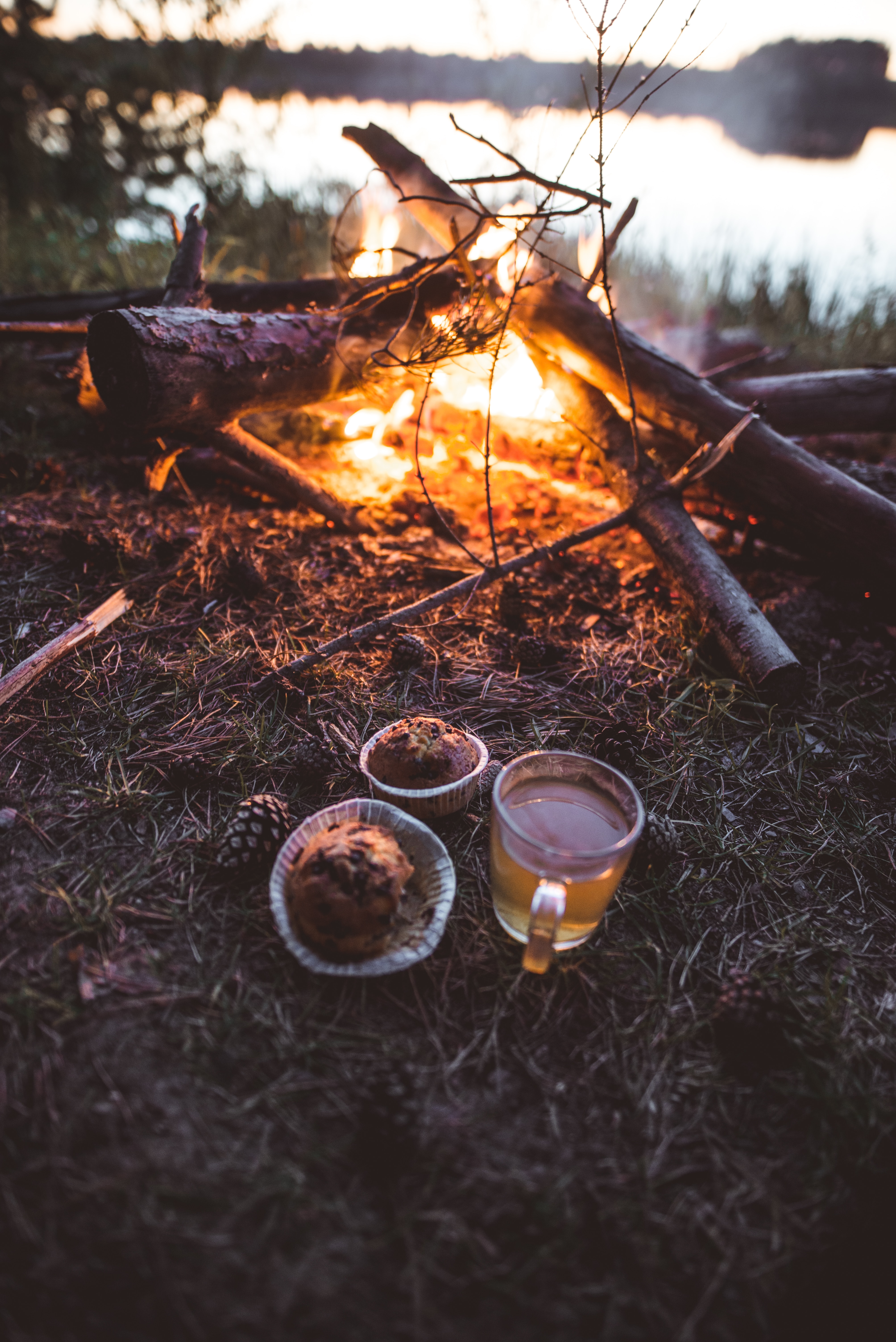 tea, bonfire, cup, nature, miscellanea, miscellaneous, mug, cupcakes