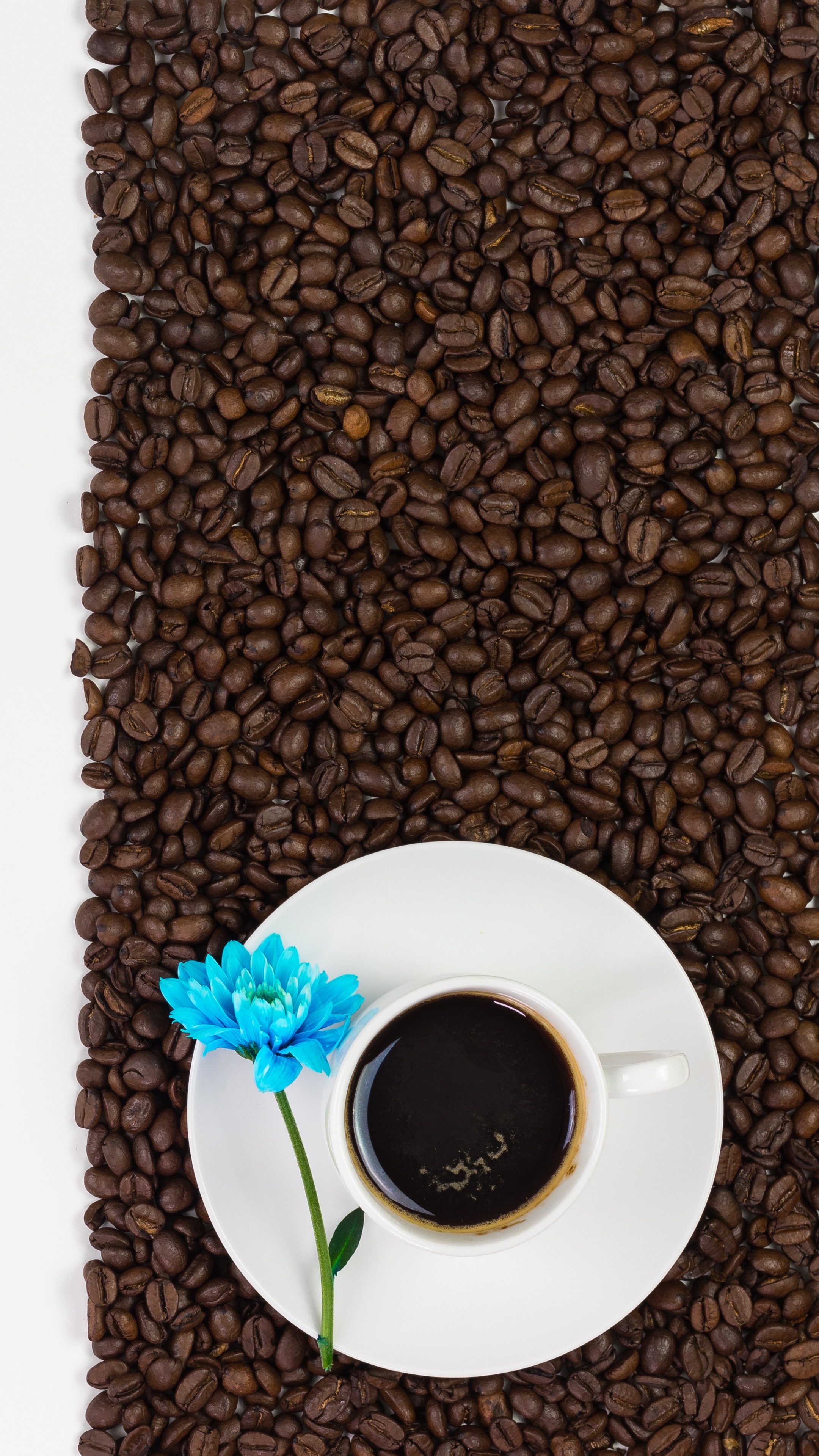 Download mobile wallpaper Food, Coffee, Cup, Drink, Coffee Beans for free.