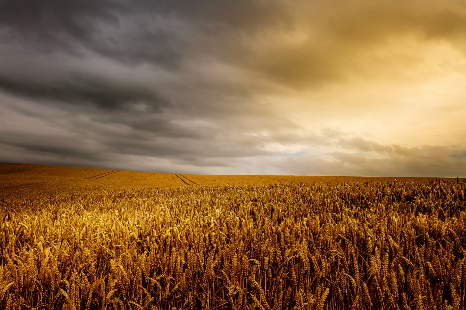 Free download wallpaper Nature, Summer, Wheat, Earth, Field, Cloud on your PC desktop