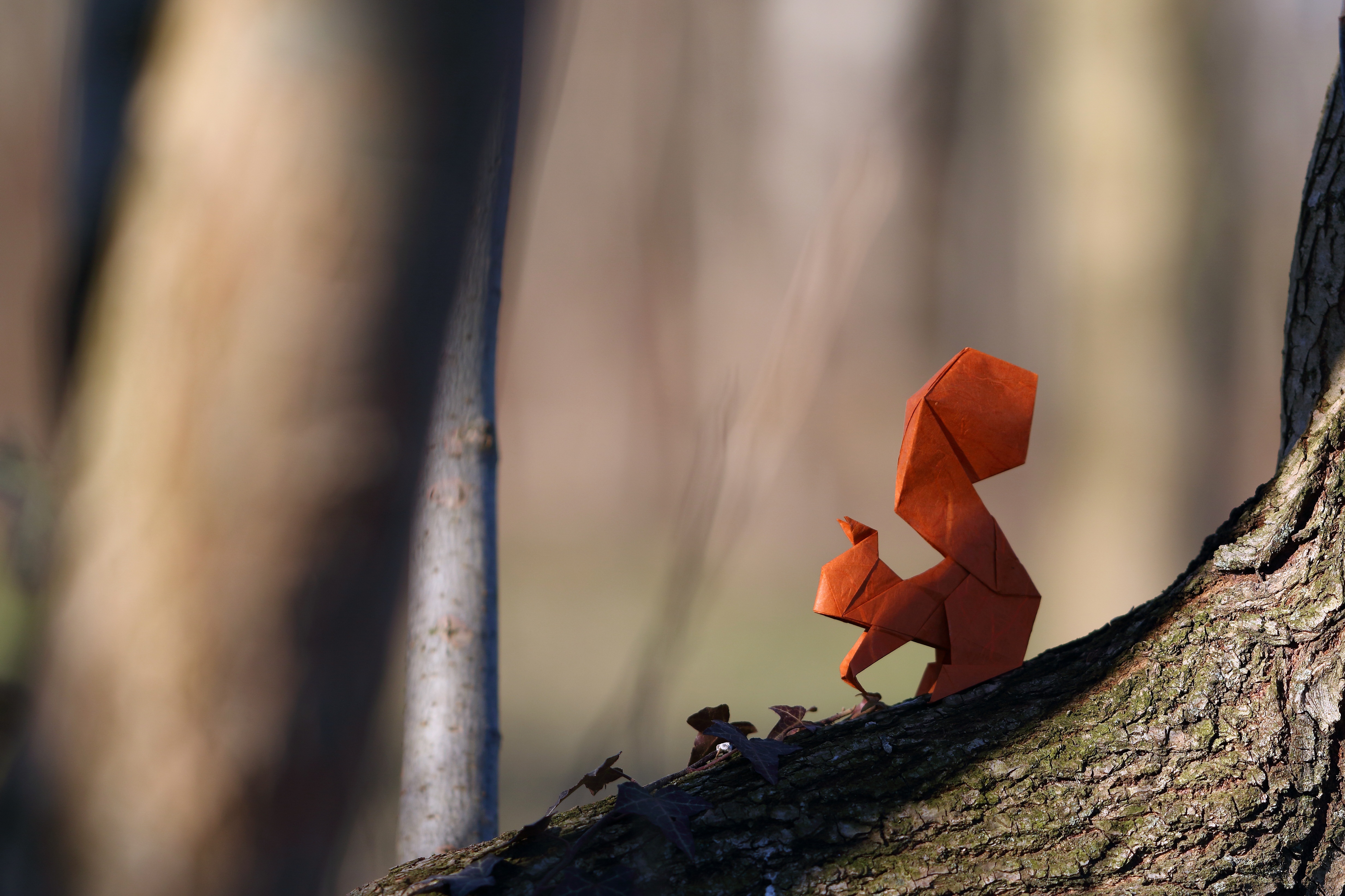 Laden Sie das Eichhörnchen, Verwischen, Origami, Menschengemacht-Bild kostenlos auf Ihren PC-Desktop herunter