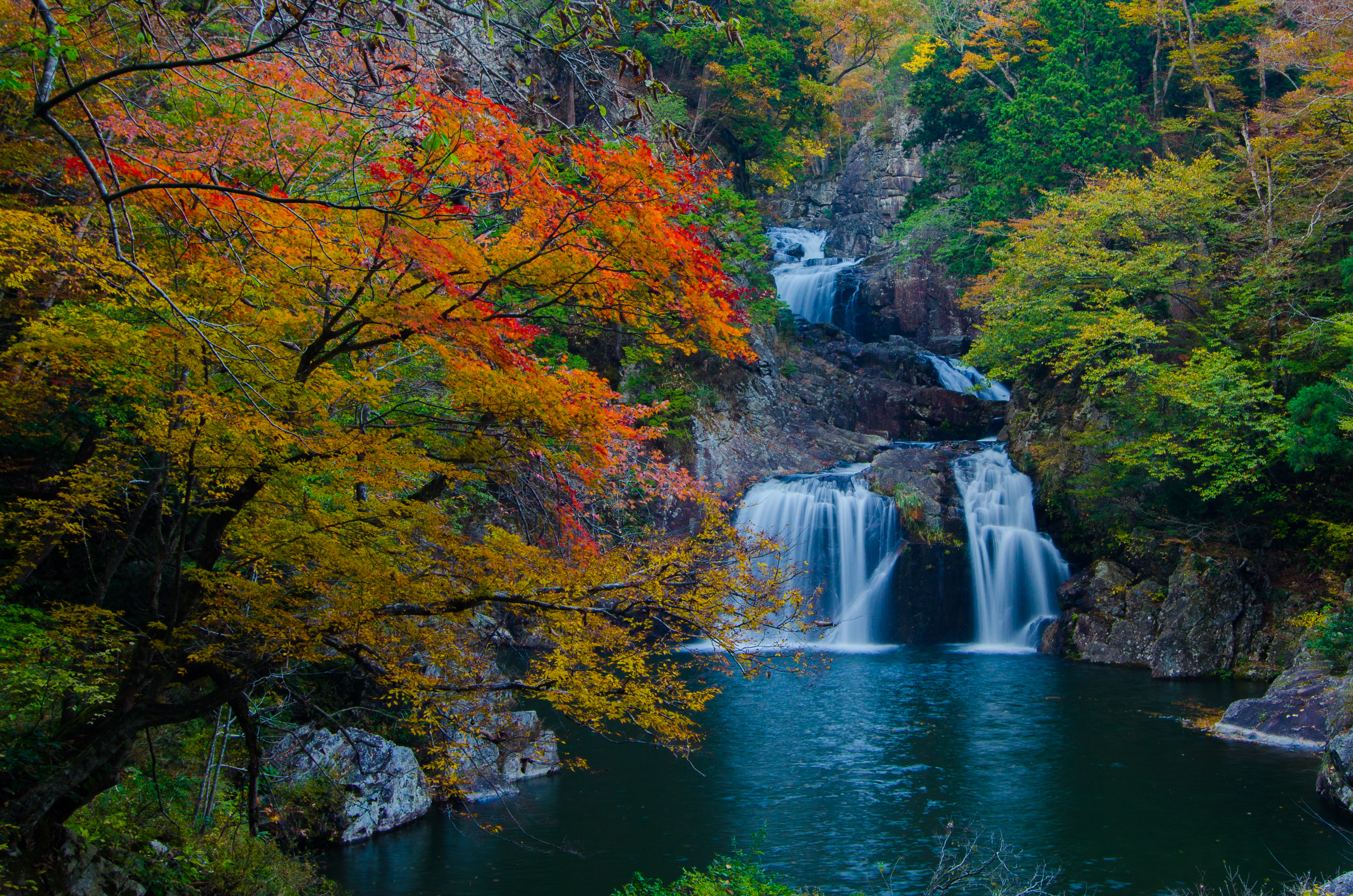 Скачать картинку Осень, Водопады, Водопад, Дерево, Пруд, Земля/природа в телефон бесплатно.