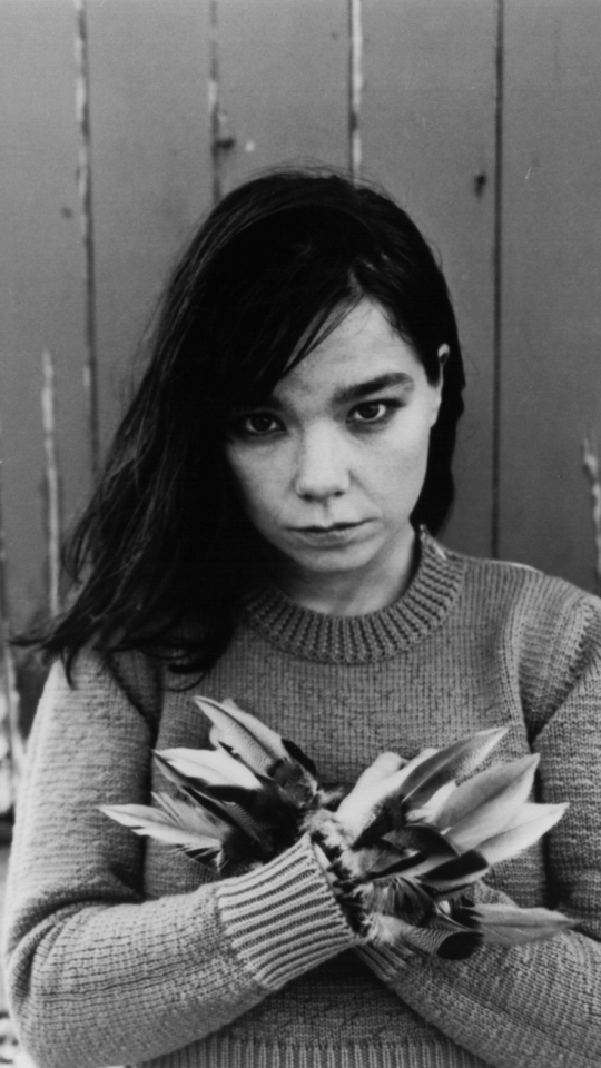 Baixar papel de parede para celular de Música, Björk gratuito.
