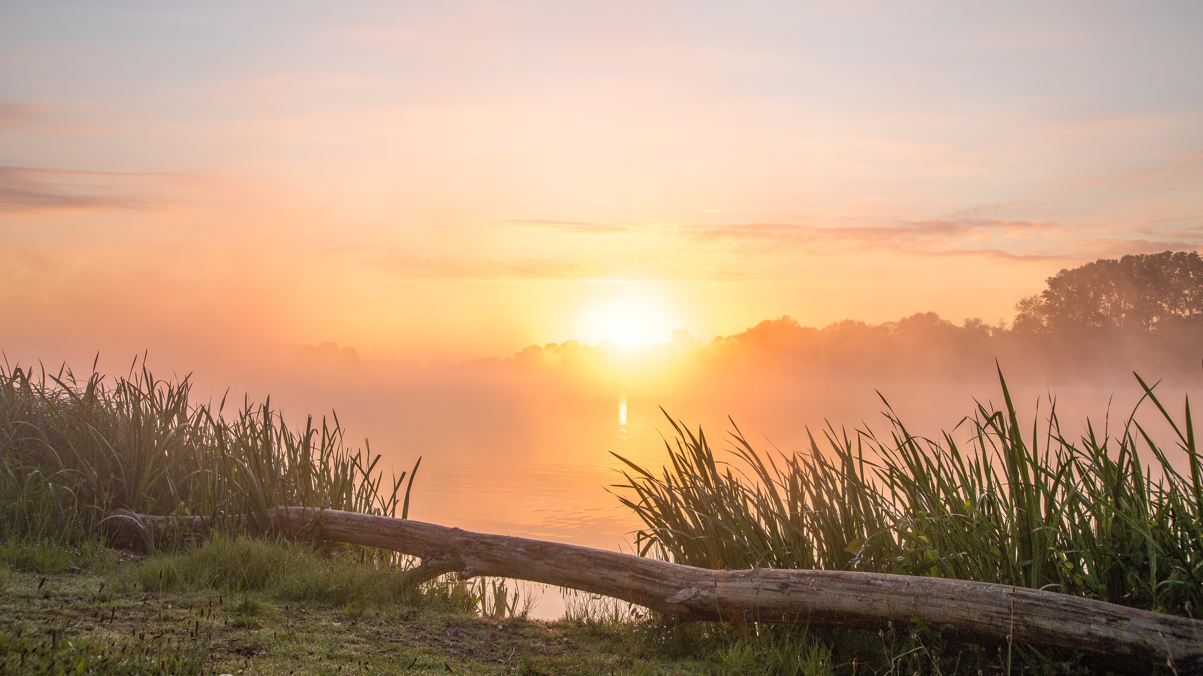 Free download wallpaper Nature, Sunrise, Earth on your PC desktop