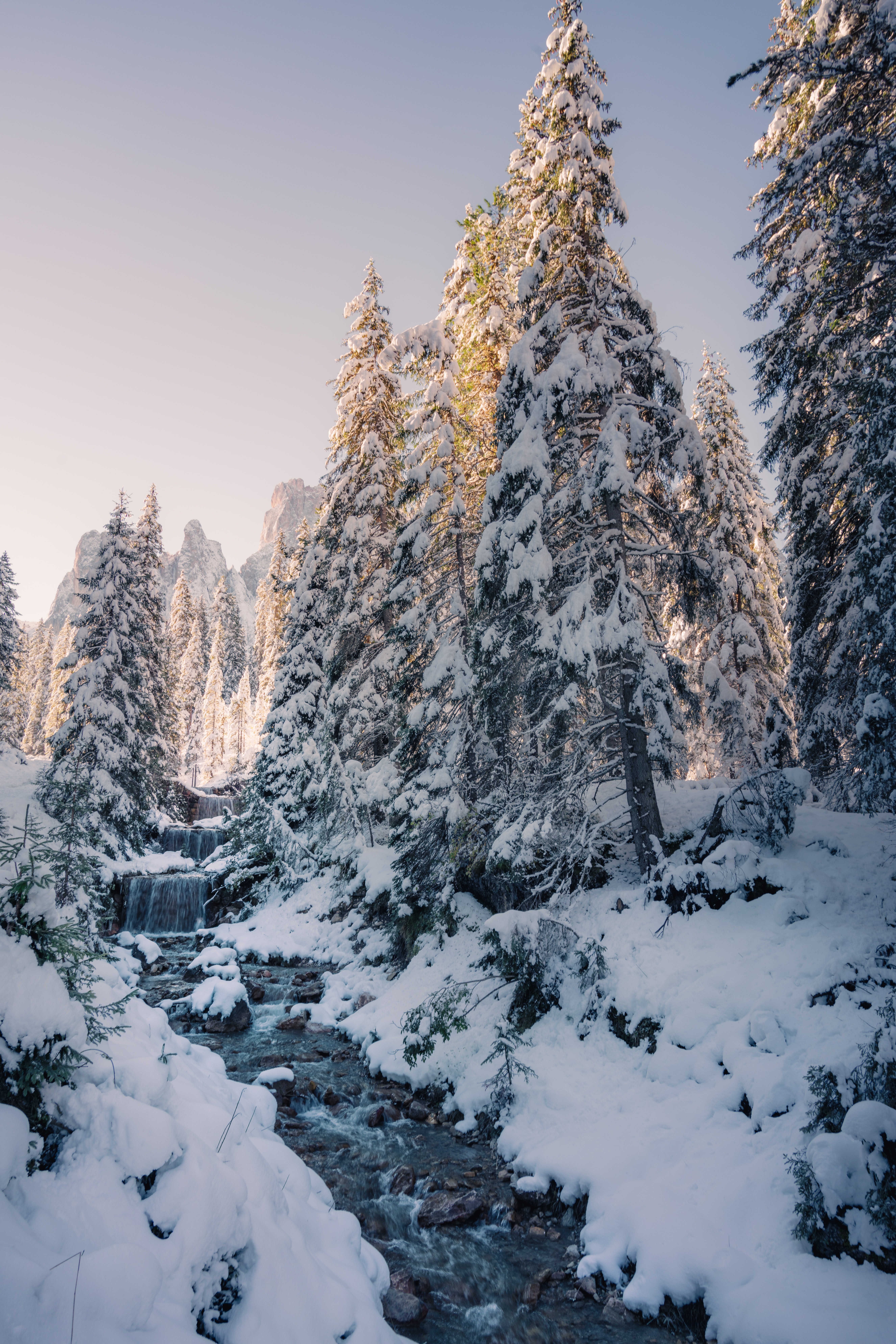 winter, nature, trees, snow, creek, brook