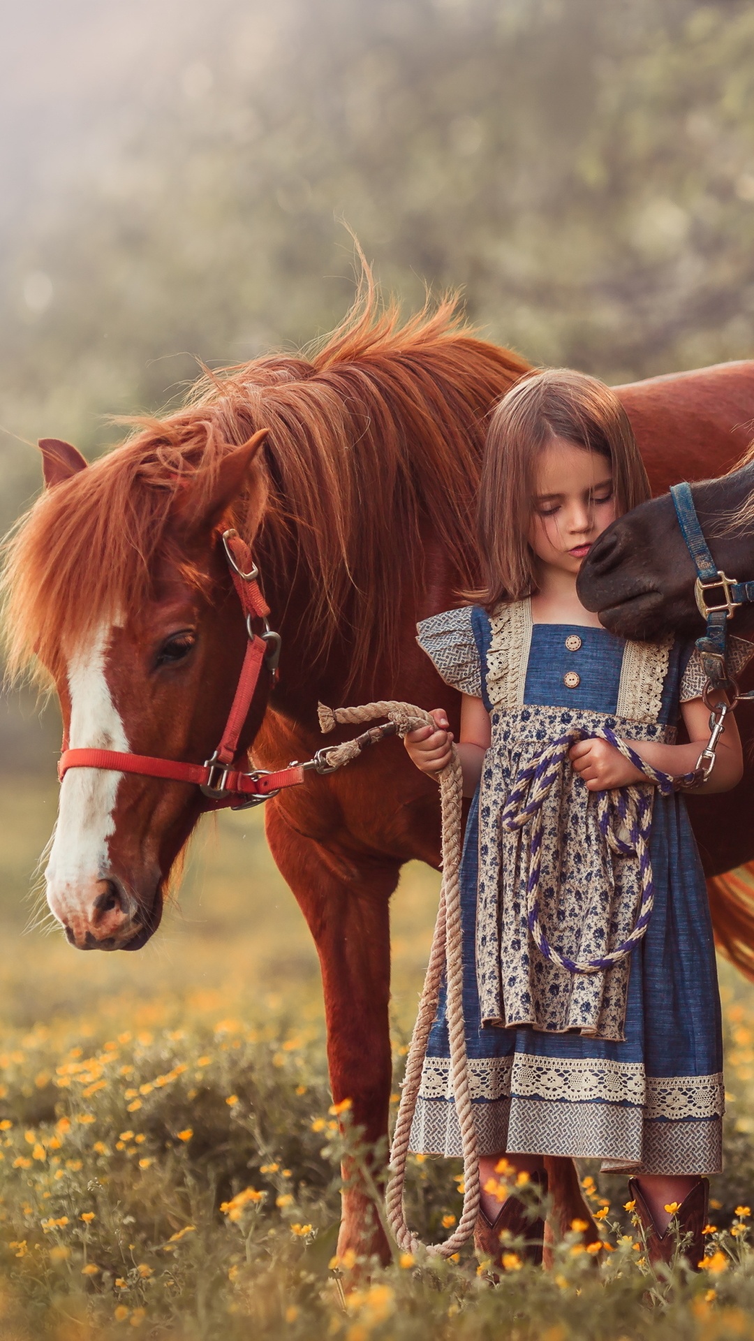 blur, photography, child, little girl, pony High Definition image