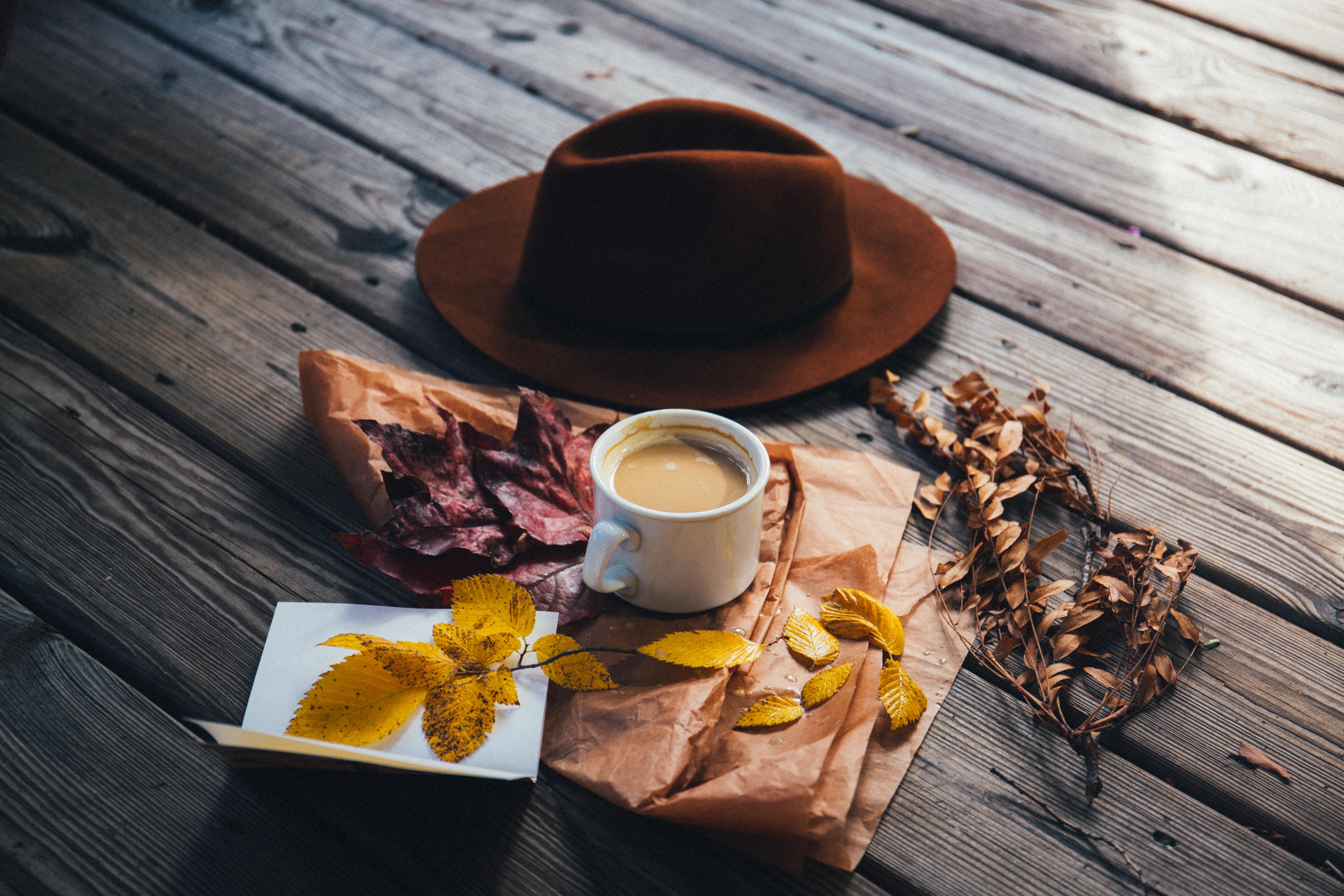 Download mobile wallpaper Food, Hat, Leaves, Coffee for free.