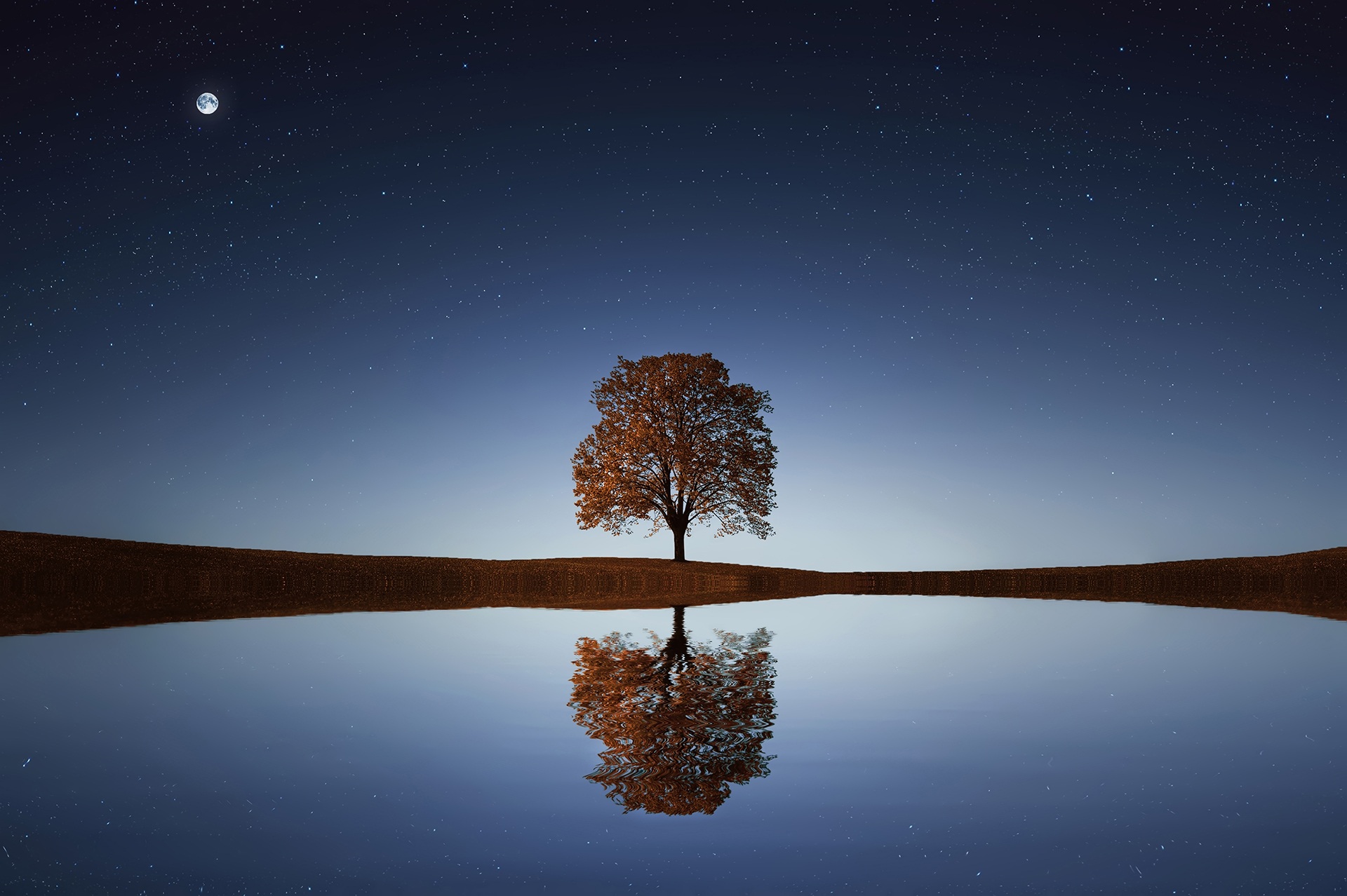 Download mobile wallpaper Nature, Water, Trees, Sky, Stars, Moon, Reflection, Tree, Earth, Lonely Tree for free.