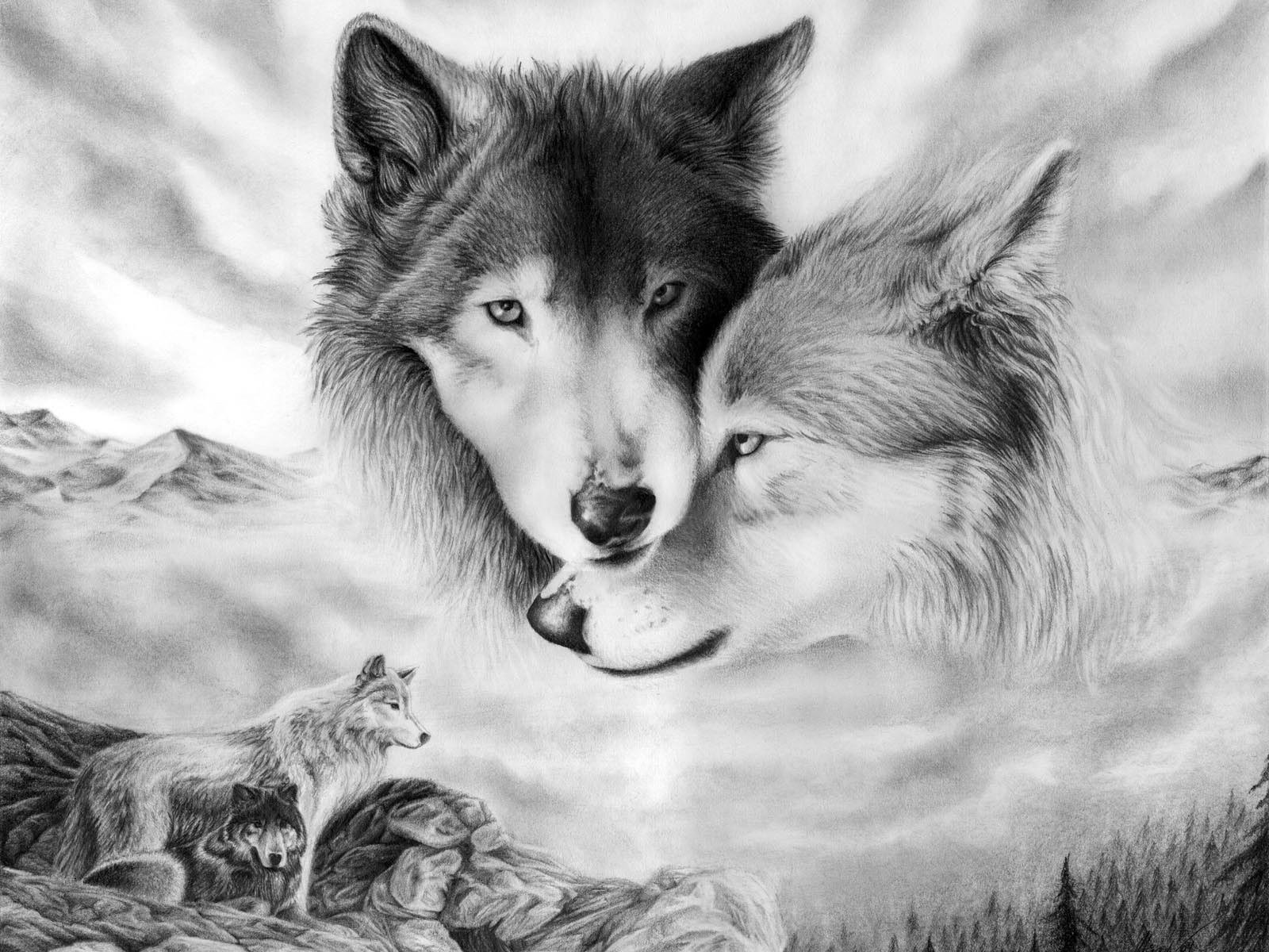 wolf, wolves, animal phone wallpaper