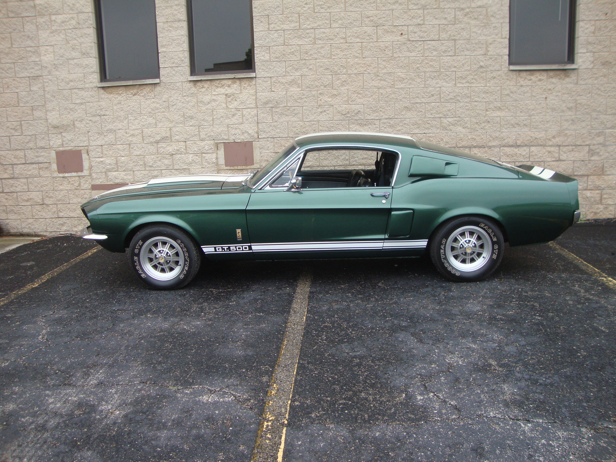 vehicles, shelby gt500, car, fastback, green car, muscle car, ford