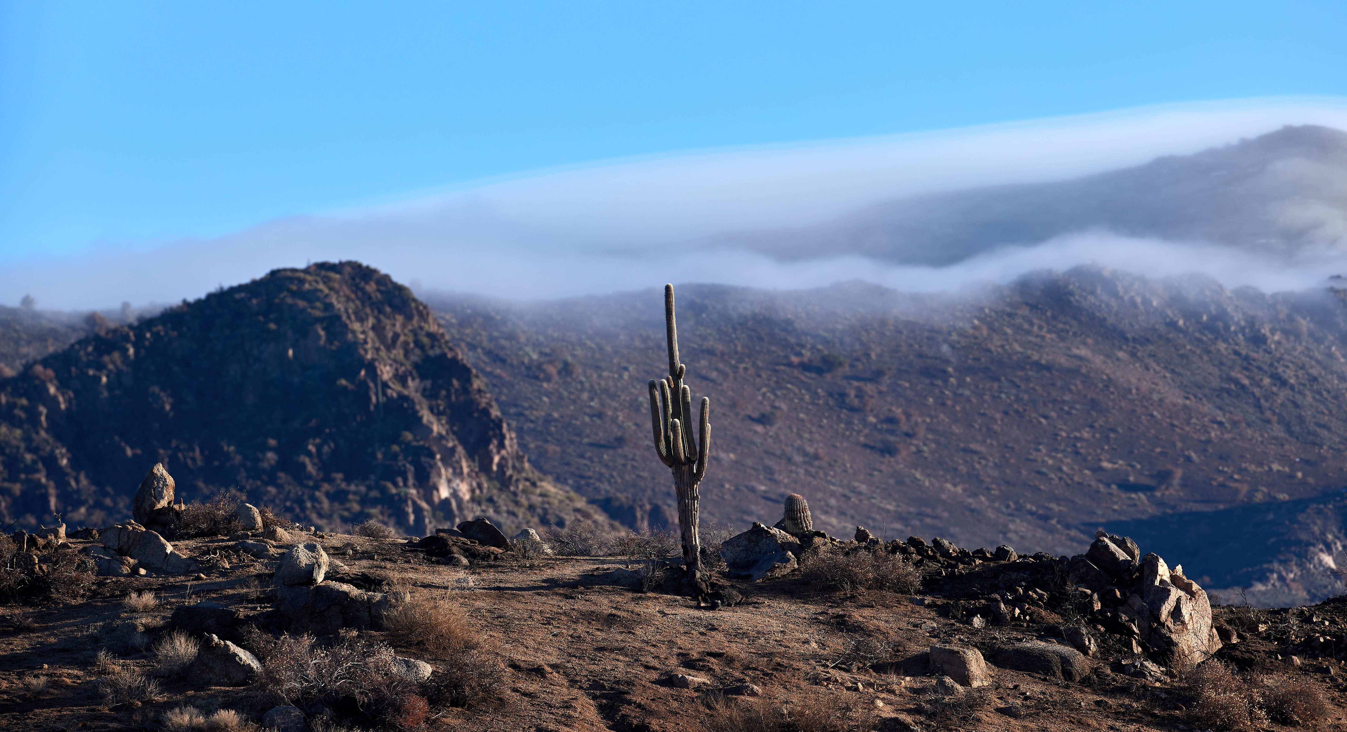 Download mobile wallpaper Cloud, Landscape, Mountains, Hills, Cactus, Nature for free.