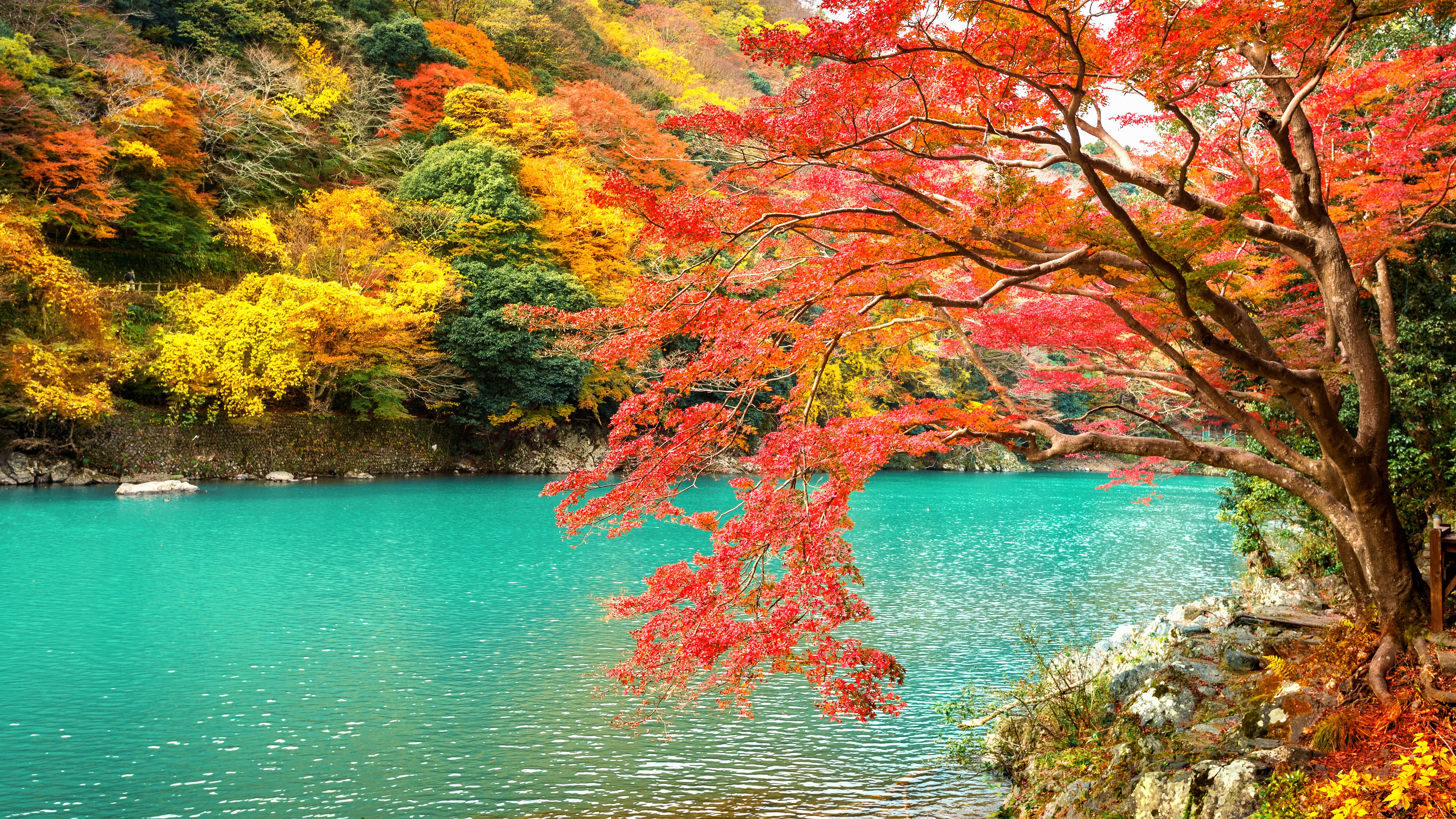 Download mobile wallpaper Nature, Lake, Park, Fall, Earth, Japan, Kyoto, Arashiyama for free.