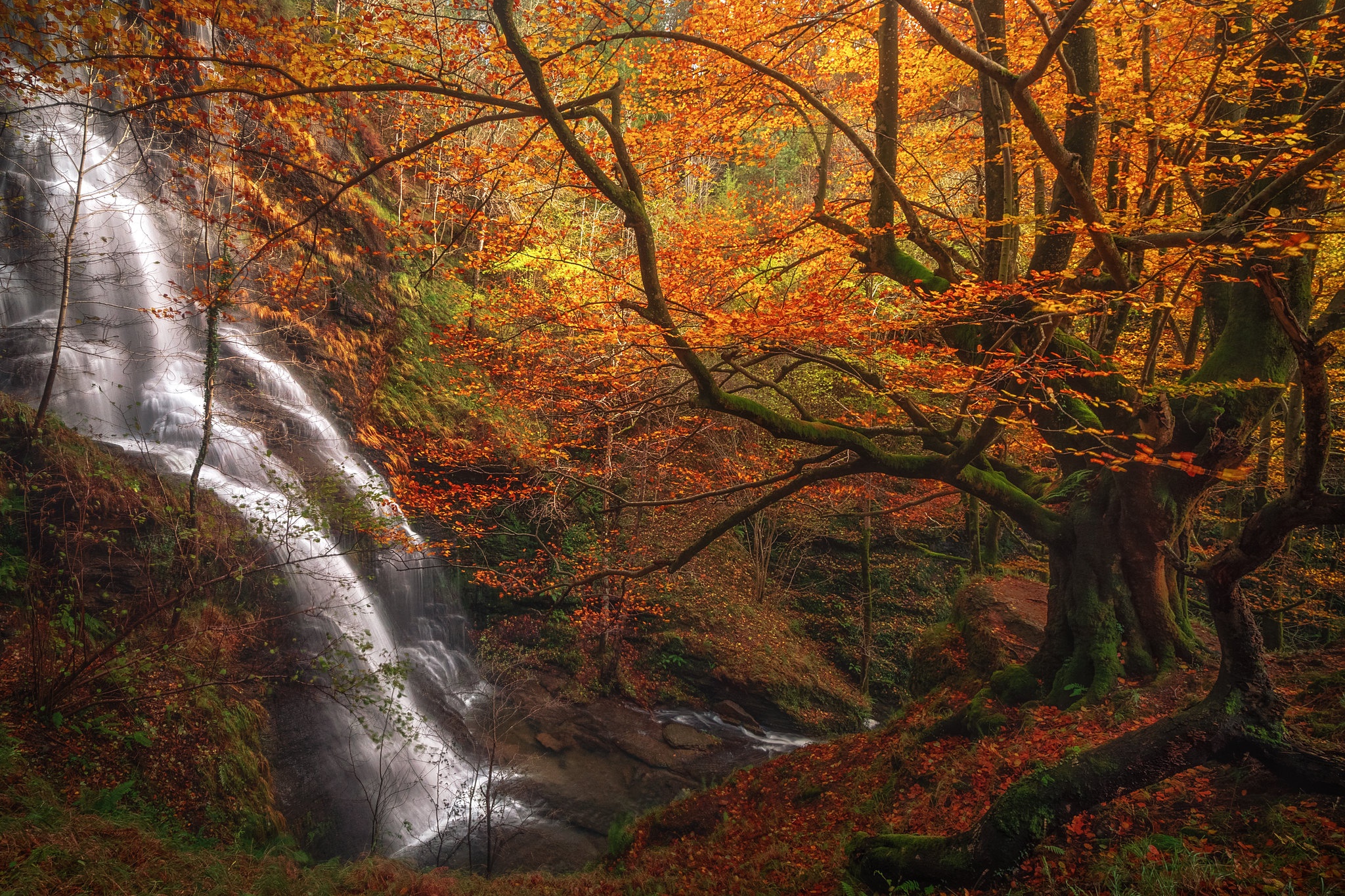 Download mobile wallpaper Waterfalls, Waterfall, Forest, Tree, Fall, Earth, Spain for free.