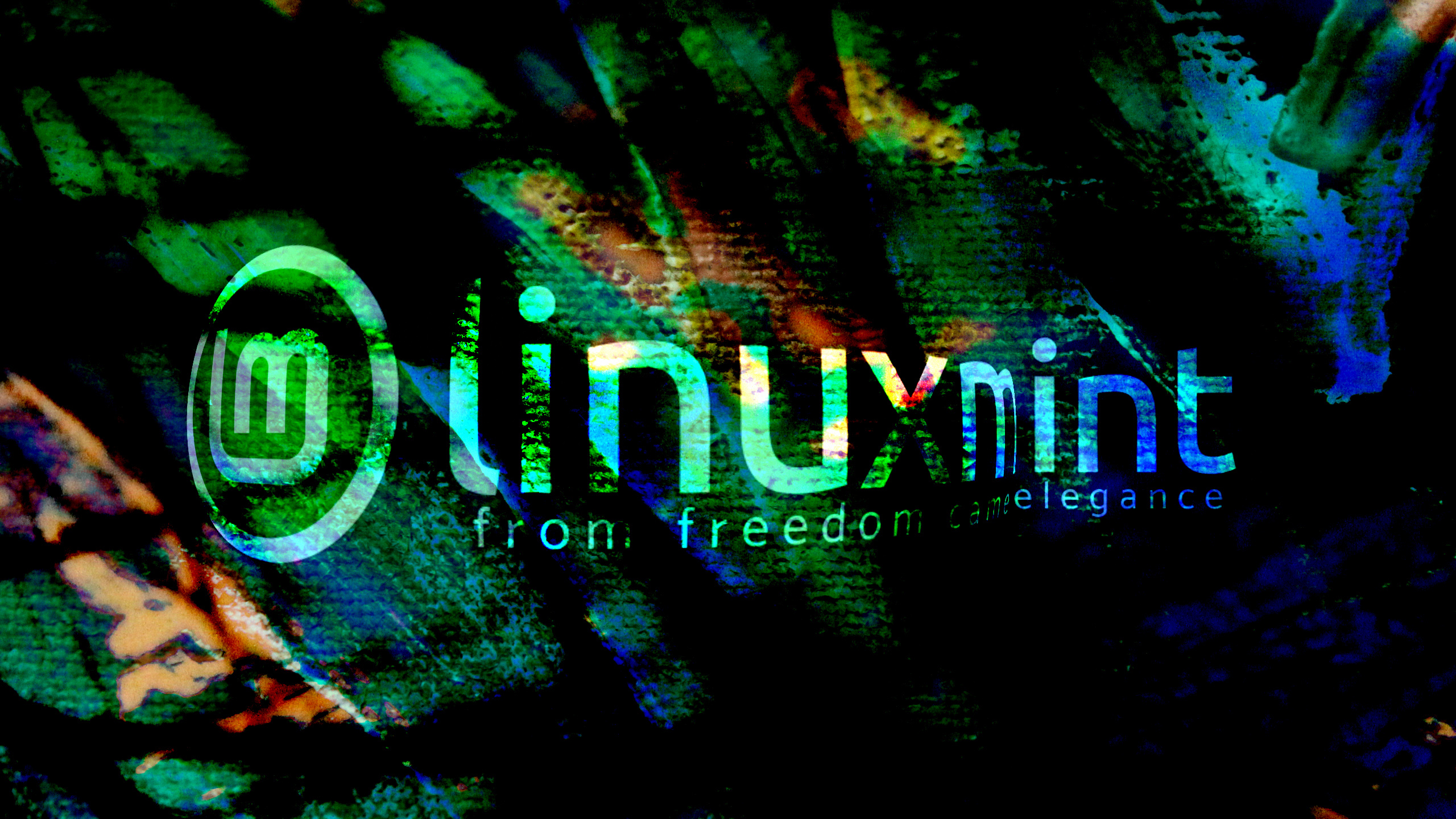 Скачать обои бесплатно Технологии, Ли́нукс, Линукс Минт картинка на рабочий стол ПК