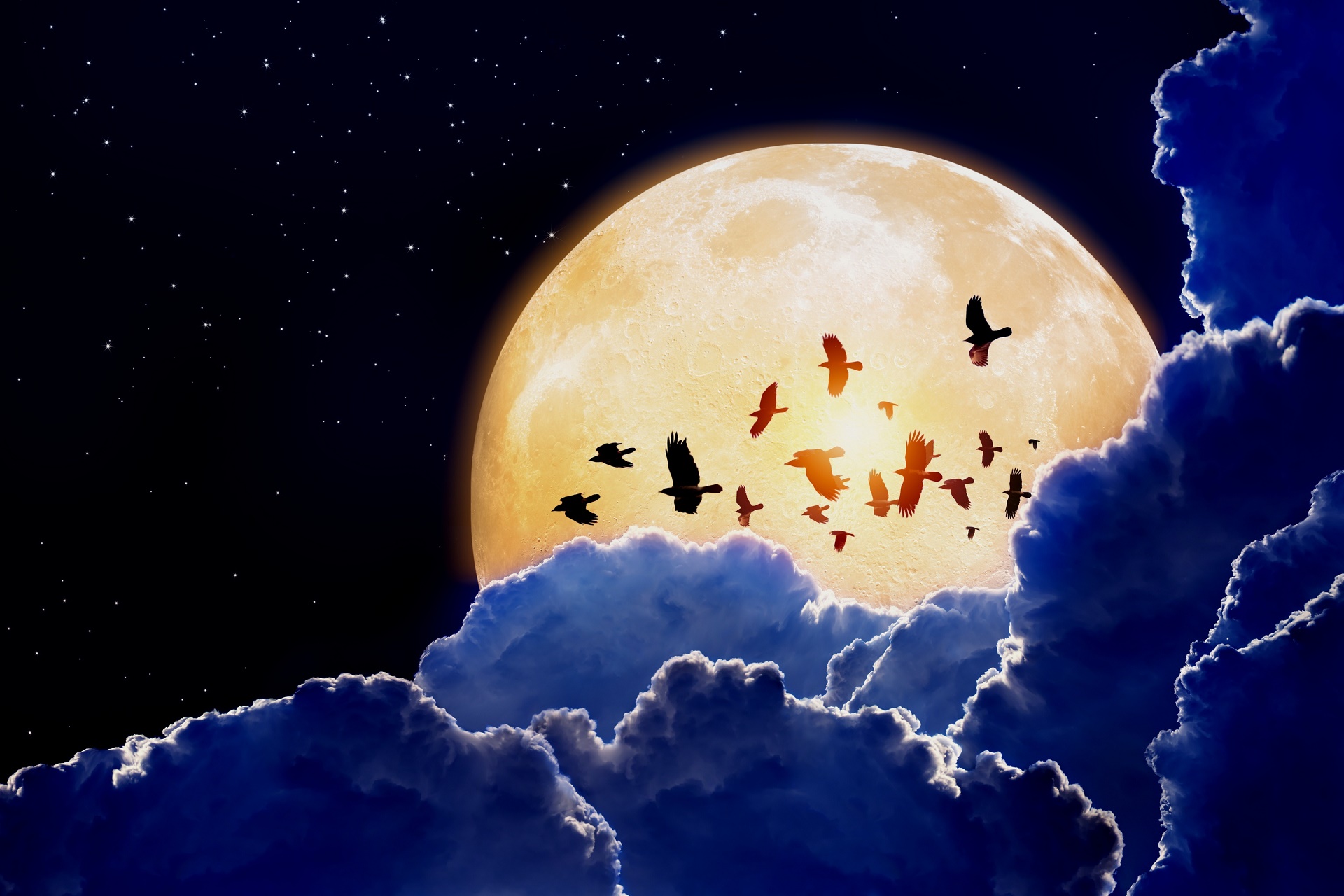 Laden Sie das Mond, Vogel, Wolke, Erde/natur-Bild kostenlos auf Ihren PC-Desktop herunter